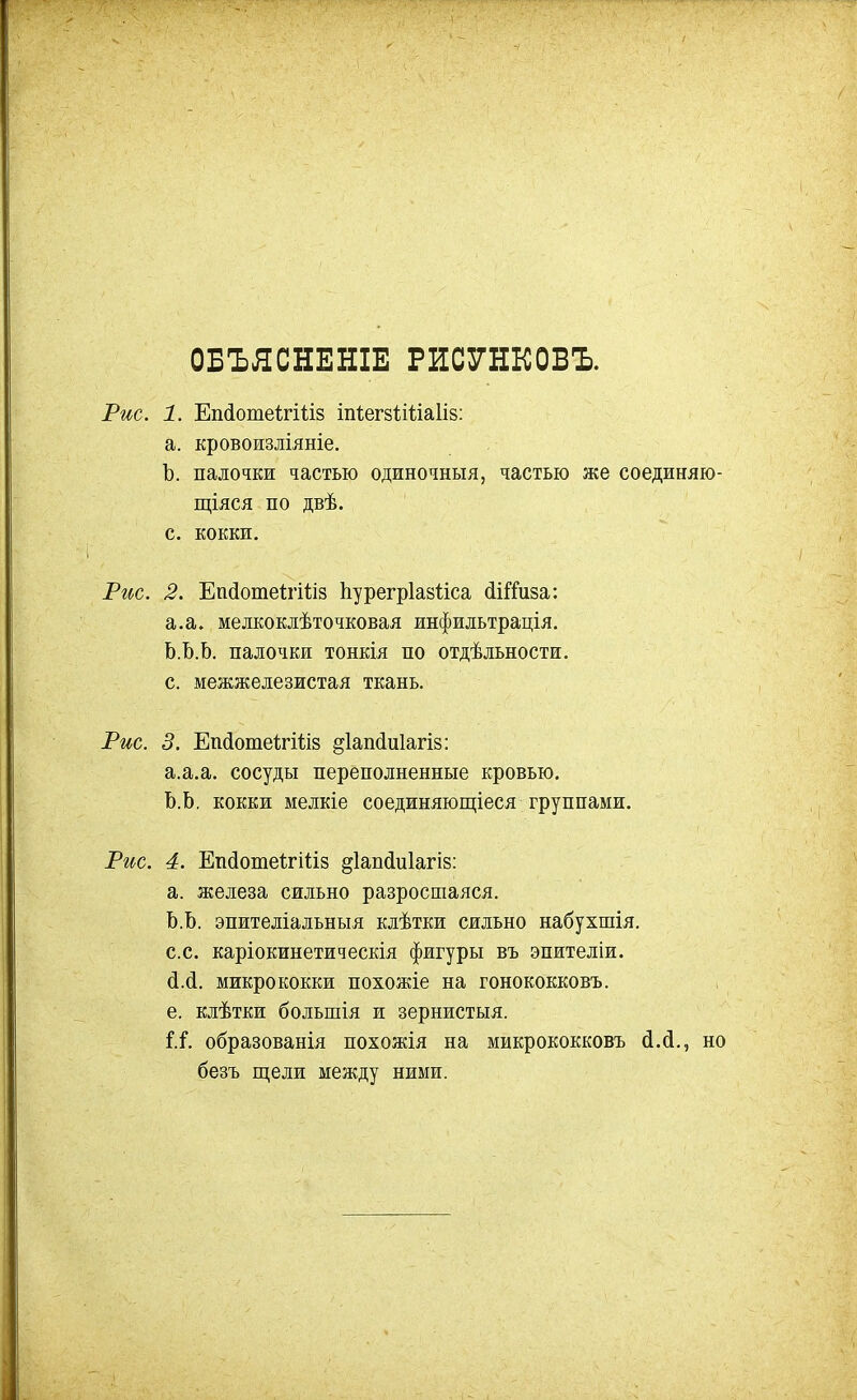 ОБЪЯСНЕНІЕ РИСУНКОБЪ. Рис. 1. Епйотеігііів іпіегзііііаііз; а. кровоизліяніе. Ъ. палочки частью одиночныя, частью же соединяю- щіяся по двѣ. с. кокки. Рис. 2. ЕпйотеѣгШз Ьурегріакііса (іі^^иза: а.а. мелкокдѣточковая инфильтрація, Ь.Ъ.Ь. палочки тонкія по отдѣльности. с. межжедезистая ткань. Рис. 3. ЕпііотеѣгШз §1ап(1и1агІ8: а.а.а. сосуды переполненные кровью. Ъ.Ь. кокки мелкіе соединяющіеся группами. Рис. 4. Епйотеігіііз ^іапйиіагів: а. железа сильно разросшаяся. Ь.Ь. эпителіальныя клѣтки сильно набухшія. с.с. каріокинетическія фигуры въ эпителіи. ЙЛ. микрококки похожіе на гонококковъ. е. клѣтки большія и зернистыя. і.і. образованія похожія на микрококковъ сІ.(і., но безъ щели между ними.