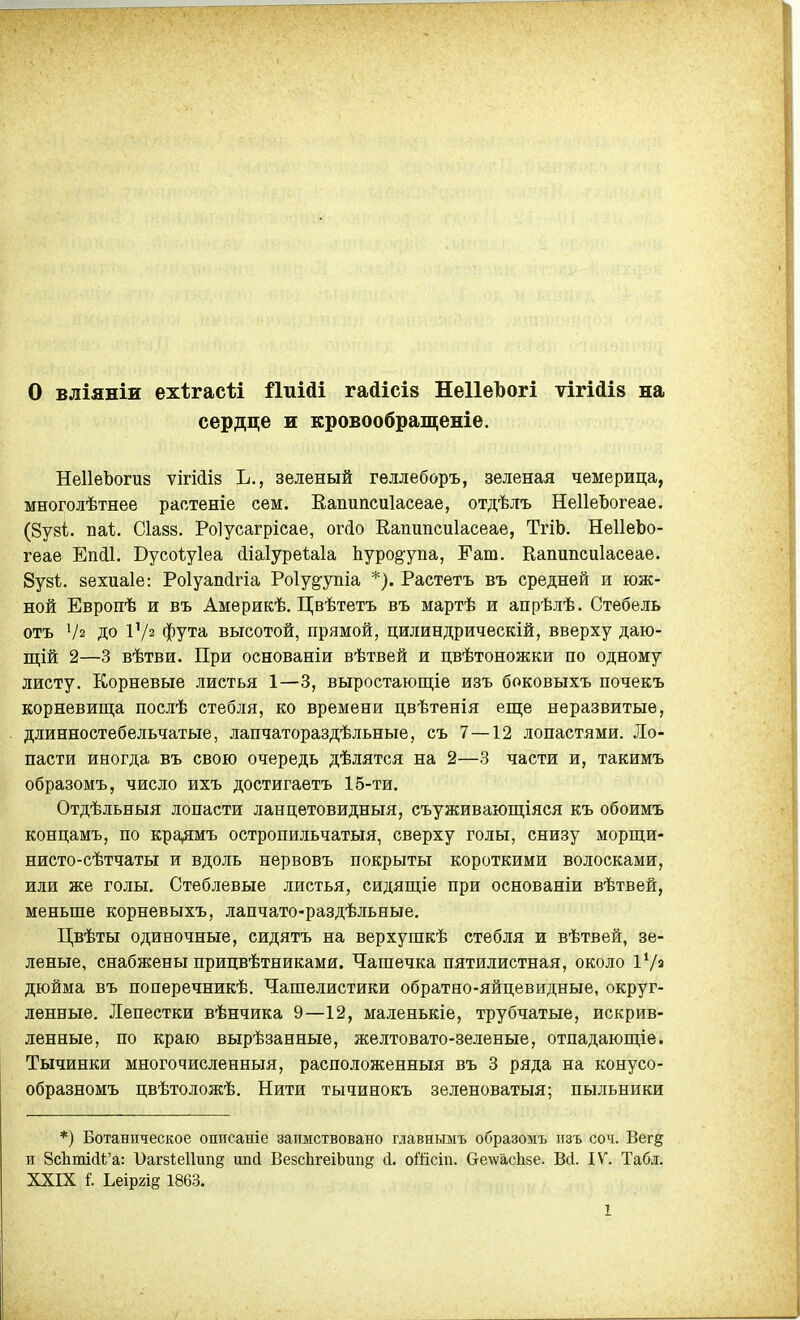 о вліяніи ехігасѣі йиіді гайісів НеІІеЪогі ѵігійів на сердце и кровообращеніе. НеІІеЪогиз ѵігШз Ъ., зеленый геллеборъ, зеленая чемерица, многолѣтнее раотеніе сем. Еапипсиіасеае, отдѣлъ НеІІеЬогеае. (8у8І. ші. Сіазз. Роіусагрісае, ог(іо Е,апипси1асеае, ТгіЬ. НеІІеЪо- геае Еікіі. Вусоіуіеа (ііаІуреЫа Ьуроё'упа, Рат. Еапипсиіасеае. 8у8ѣ. зехиаіе: Роіуаікігіа Роіу^упіа *). Растетъ въ средней и юж- ной Европѣ и въ Америкѣ. Цвѣтетъ въ мартѣ и апрѣлѣ. Стебель отъ Ѵг до Ѵ/2 фута высотой, прямой, цилиндрическій, вверху даю- щій 2—3 вѣтви. При основаніи вѣтвей и цвѣтоножки по одному листу. Корневые листья 1—3, выростающіе изъ боковыхъ почекъ корневища послѣ стебля, ко времени цвѣтенія еще неразвитые, длинностебельчатые, лапчатораздѣльные, съ 7 —12 лопастями. Ло- пасти иногда въ свою очередь дѣлятся на 2—3 части и, такимъ образомъ, число ихъ достигаетъ 15-ти. Отдѣльныя лопасти ланцетовидныя, съуживающіяся къ обоимъ концамъ, по кра,ямъ остропильчатыя, сверху голы, снизу морщи- нисто-сѣтчаты и вдоль нервовъ покрыты короткими волосками, или же голы. Стеблевые листья, сидящіе при основаніи вѣтвей, меньше корневыхъ, лапчато-раздѣльные. Цвѣты одиночные, сидятъ на верхушкѣ стебля и вѣтвей, зе- леные, снабжены прицвѣтниками. Чашечка пятилистная, около іѴз дюйма въ поперечникѣ. Чашелистики обратно-яйцевидные, округ- ленные. Лепестки вѣнчика 9—12, маленькіе, трубчатые, искрив- ленные, по краю вырѣзанные, желтовато-зеленые, отпадающіе. Тычинки многочисленныя, расположенныя въ 3 ряда на конусо- образномъ цвѣтоложѣ. Нити тычинокъ зеленоватыя; пыльники *) Ботаническое оппсаніе заимствовано главнымъ образомъ изъ соч. Вегд и 8сЬті(іі'а: 1)аг8І;е11ипд ипй ВезсЬгеіЬипд й. оШсіп. СгеѵѵасЬйе. Вй. IV. Табл. XXIX і Ьеір2і§ 1863.