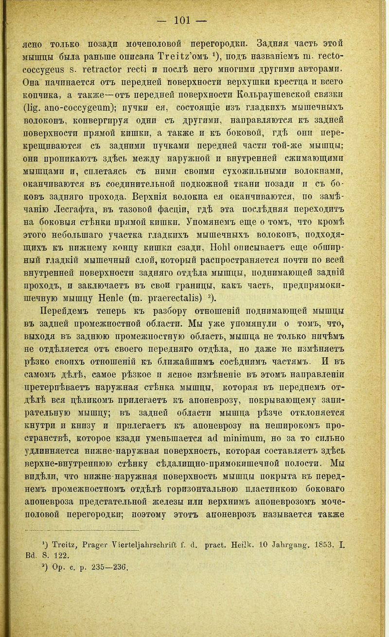 ясно только позади мочеполовой перегородки. Задняя часть этой мышцы была раньше описана Тгеііг’омъ *), подъ названіемъ ш. гесіо- соссу§еиз 8. геігасѣог гесіі и послѣ него многими другими авторами. Она начинается отъ передней поверхности верхушки крестца и всего копчика, а также—отъ передней поверхности Кольраушевской связки (Іід. апо-соссу§ент); пучки ея, состоящіе изъ гладкихъ мышечныхъ волоконъ, конвергируя одни съ другими, направляются къ задней поверхности прямой кишки, а также и къ боковой, гдѣ они пере- крещиваются съ задними пучками передней части той-же мышцы; они проникаютъ здѣсь между наружной и внутренней сжимающими мышцами и, сплетаясь съ ними своими сухожильными волокнами, оканчиваются въ соединительной подкожной ткани позади и съ бо- ковъ задняго прохода. Верхнія волокна ея оканчиваются, по замѣ- чанію Лесгафта, въ тазовой фасціи, гдѣ эта послѣдняя переходитъ на боковыя стѣнки прямой кишки. Упомянемъ еще о томъ, что кромѣ этого небольшаго участка гладкихъ мышечныхъ волоконъ, подходя- щихъ къ нижнему концу кишки сзади, НоЫ описываетъ еще обшир- ный гладкій мышечный слой, который распространяется почти по всей внутренней поверхности задняго отдѣла мышцы, поднимающей задній проходъ, и заключаетъ въ свои границы, какъ часть, предпрямоки- шечную мышцу Непіе (т. ргаегесіаііз) 2). Перейдемъ теперь къ разбору отношеній поднимающей мышцы въ задней промежностной области. Мы уже упомянули о томъ, что, выходя въ заднюю промежностную область, мышца не только ничѣмъ не отдѣляется отъ своего передняго отдѣла, но даже не измѣняетъ рѣзко своихъ отношеній къ ближайшимъ сосѣднимъ частямъ. И въ самомъ дѣлѣ, самое рѣзкое и ясное измѣненіе въ этомъ направленіи претерпѣваетъ наружная стѣнка мышцы, которая въ переднемъ от- дѣлѣ вся цѣликомъ прилегаетъ къ апоневрозу, покрывающему запи- рательную мышцу; въ задней области мышца рѣзче отклоняется кнутри и книзу и прилегаетъ къ апоневрозу на неширокомъ про- странствѣ, которое кзади уменьшается асі тіпітит, но за то сильно удлинняется нижне-наружная поверхность, которая составляетъ здѣсь верхне-внутреннюю стѣнку сѣдалищно-прямокишечной полости. Мы видѣли, что нижне-наружная поверхность мышцы покрыта въ перед- немъ промежностномъ отдѣлѣ горизонтальною пластинкою боковаго апоневроза предстательной железы или верхнимъ апоневрозомъ моче- половой перегородки; поэтому этотъ апоневрозъ называется также Тгеііг, Ргадег ѴіегіеЦаЬгзсЬгіН і\ сі. ргасі. Неіік. 10 ДаЪгдап^, 1853. I. ВсІ. 8. 122. 3) Ор. е. р. 235—236.