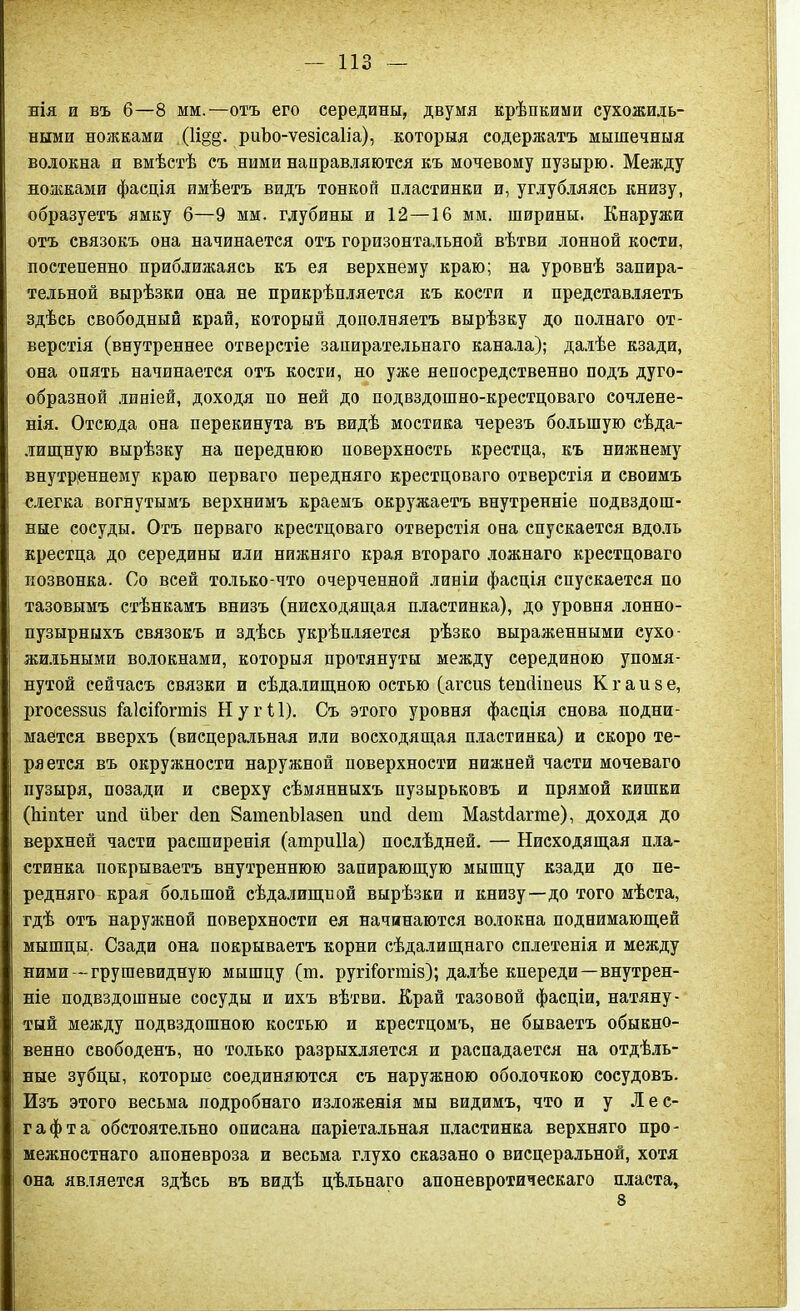 нія и въ б—8 мм.—отъ его середины, двумя крѣпкими сухожиль- ными ножками (1і§§. риѣо-ѵезісаііа), которыя содержатъ мышечныя волокна я вмѣстѣ съ ними направляются къ мочевому пузырю. Между ножками фасція имѣетъ видъ тонкой пластинки и, углубляясь книзу, образуетъ ямку 6—9 мм. глубины и 12—16 мм. ширины. Кнаружи отъ связокъ она начинается отъ горизонтальной вѣтви лонной кости, постепенно приближаясь къ ея верхнему краю; на уровнѣ запира- тельной вырѣзки она не прикрѣпляется къ кости и представляетъ здѣсь свободный край, который дополняетъ вырѣзку до полнаго от- верстія (внутреннее отверстіе запирательнаго канала); далѣе кзади, она опять начинается отъ кости, но уже непосредственно подъ дуго- образной линіей, доходя по ней до подвздошно-крестцоваго сочлене- нія. Отсюда она перекинута въ видѣ мостика черезъ большую сѣда- лищную вырѣзку на переднюю поверхность крестца, къ нижнему внутреннему краю перваго передняго крестцоваго отверстія и своимъ слегка вогнутымъ верхнимъ краемъ окружаетъ внутренніе подвздош- ные сосуды. Отъ перваго крестцоваго отверстія она спускается вдоль крестца до середины или нижняго края втораго ложнаго крестцоваго позвонка. Со всей только-что очерченной линіи фасція спускается по тазовымъ стѣнкамъ внизъ (нисходящая пластинка), до уровня лонно- пузырныхъ связокъ и здѣсь укрѣпляется рѣзко выраженными сухо- жильными волокнами, которыя протянуты между серединою упомя- нутой сейчасъ связки и сѣдалищною остью (агсиз Іенсііпеиз К г а и з е, ргосеззиз іаІсіГогтіз Нугіі). Съ этого уровня фасція снова подни- мается вверхъ (висцеральная или восходящая пластинка) и скоро те- ряется въ окружности наружной поверхности нижней части мочеваго пузыря, позади и сверху сѣмянныхъ пузырьковъ и прямой кишки (Іііпіег ипсі ііЪег сіеп ЗатепЫазеп ипсі бет МазМагте), доходя до верхней части расширенія (атриііа) послѣдней. — Нисходящая пла- стинка покрываетъ внутреннюю запирающую мышцу кзади до пе- редняго края большой сѣдалищной вырѣзки и книзу—до того мѣста, гдѣ отъ наружной поверхности ея начинаются волокна поднимающей мышцы. Сзади она покрываетъ корни сѣдалищнаго сплетенія и между ними —грушевидную мышцу (т. ругйбгтіз); далѣе кпереди — внутрен- ніе подвздошные сосуды и ихъ вѣтви. Край тазовой фасціи, натяну- тый между подвздошною костью и крестцомъ, не бываетъ обыкно- венно свободенъ, но только разрыхляется и распадается на отдѣль- ные зубцы, которые соединяются съ наружною оболочкою сосудовъ. Изъ этого весьма подробнаго изложенія мы видимъ, что и у Лес- гафта обстоятельно описана паріетальная пластинка верхняго про- межностнаго апоневроза и весьма глухо сказано о висцеральной, хотя она является здѣсь въ видѣ цѣльнаго апоневротическаго пласта, 8