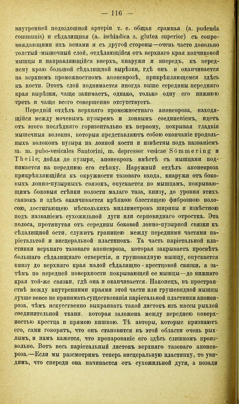 внутренней подвздошной артеріи т. е. общая срамная (а. ршіепсіа соншшпіз) и сѣдалищная (а. івсЬіаДіса 8. §1иіеа зирегіог) съ сопро- вождающими ихъ венами и съ другой стороны—очень часто довольно толстый мышечный слой, отдѣляющійся отъ верхняго края копчиковой мышцы и направляющійся вверхъ, кнаружи и впередъ, къ перед- нему краю большой сѣдалищной вырѣзки, гдѣ онъ и оканчивается на верхнемъ промежностномъ апоневрозѣ, прикрѣпляющемся здѣсь къ кости. Этотъ слой поднимается иногда выше середины передняго края вырѣзки, чаще занимаетъ, однако, только одну его нижнюю треть и чаще всего совершенно отсутствуетъ. Передній отдѣлъ верхняго промежностнаго апоневроза, находя- щійся между мочевымъ пузыремъ и лоннымъ соединеніемъ, идетъ отъ этого послѣдняго горизонтально къ первому, покрывая гладкія мышечныя волокна, которыя представляютъ собою окончаніе продоль- ныхъ волоконъ пузыря на лонной кости и извѣстны подъ названіемъ га. га. риіэо-ѵезісаіез 8апіюгіпі, т. йергеззог ѵезісае 8бттегіп§ и Тѣеііе; дойдя до пузыря, апоневрозъ вмѣстѣ съ мышцами под- нимается на переднюю его стѣнку. Наружный отдѣлъ апоневроза прикрѣпляющійся къ окружности тазоваго входа, кнаружи отъ боко- выхъ лонно-пузырныхъ связокъ, опускается по мышцамъ, покрываю- щимъ боковыя стѣнки полости малаго таза, книзу, до уровня этихъ связокъ и здѣсь оканчивается крѣпкою блестящею фиброзною поло- сою, достигающею нѣсколькихъ миллиметровъ ширины и извѣстною подъ названіемъ сухожильной дуги или серповиднаго отростка. Эта полоса, протянутая отъ середины боковой лонно-пузырной связки къ сѣдалищной ости, служитъ границею между передними частями на- ріетальтой и висцеральной пластинокъ. Та часть паріетальной пла- стинки верхняго тазоваго апоневроза, которая закрываетъ просвѣтъ большаго сѣдалищнаго отверстія, и грушевидную мышцу, опускается книзу до верхняго края малой сѣдалищно - крестцовой связки, а за- тѣмъ по передней поверхности покрывающей ее мышцы—до нижняго края той-же связки, гдѣ она и оканчивается. Наконецъ, въ простран- ствѣ между внутренними краями этой части или грушевидной мышцы лучше вовсе не принимать существованія паріетальной пластинки апонев- роза, чѣмъ искусственно выкраивать такой листокъ изъ массы рыхлой соединительной ткани, которая заложена между переднею поверх- ностью крестца и прямою кишкою. Тѣ авторы, которые признаютъ его, сами говорятъ, что онъ становится въ этой области очень рых- лымъ, и намъ кажется, что препарованіе его здѣсь слишкомъ произ- вольно. Вотъ весь паріетальный листокъ верхняго тазоваго апонев- роза.—Если мы разсмотримъ теперь висцеральную пластинку, то уви- димъ, что спереди она начинается отъ сухожильной дуги, а позади