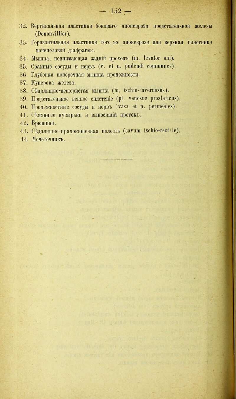 152 32. Вертикальная пластинка боковаго апоневроза предстательной железы (ПепопѵіИіег). 33. Горизонтальная пластинка того же апоневроза или верхняя пластинка мочеполовой діафрагмы. 34. Мышца, поднимающая задній проходъ (ш. Іеѵаіог аиі). 35. Срамные сосуды и нервъ (ѵ. еі и. рисіепсіі соптшпез), 36. Глубокая поперечная мышца промежности. 37. Куперова железа. 38. Сѣдалищно-пещеристая мышца (т. ізсЫо-саѵегповиз). 39. Предстательное венное сплетеніе (рі. ѵепозиз ргозіаіісиз). 40. Промежностные сосуды и нервъ (ѵаза еі и. регіпеаіез). 41. Сѣмянные пузырьки и выносящій протокъ. 42. Брюшина. 43. Сѣдалищно-прямокишечная полость (саѵиш ізсІііо-гесЫе). 44. Мочеточникъ.