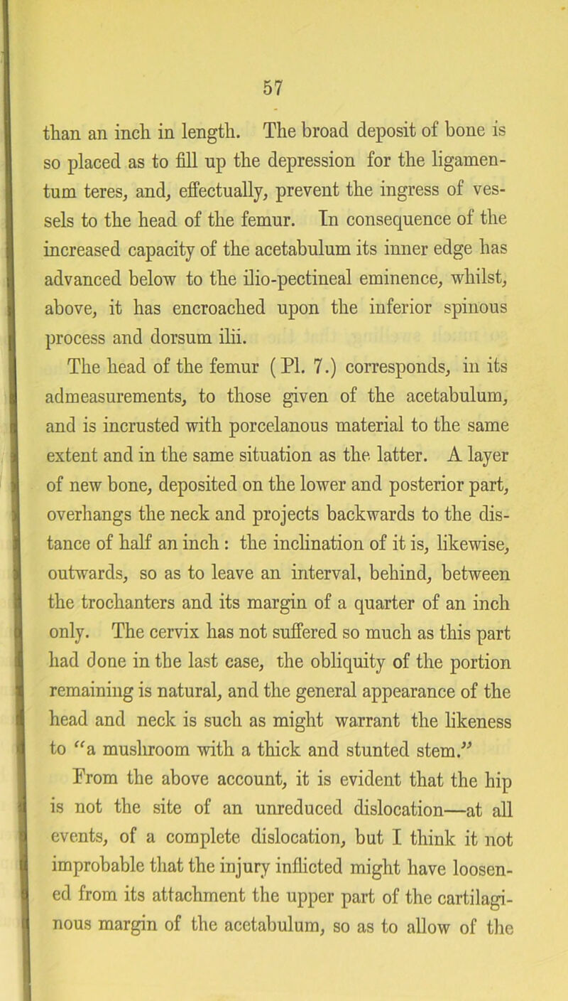 than an inch in length. The broad deposit of bone is so placed as to fill up the depression for the ligamen- tum teres, and, effectually, prevent the ingress of ves- sels to the head of the femur. In consequence of the increased capacity of the acetabulum its inner edge has advanced below to the ilio-pectineal eminence, whilst, above, it has encroached upon the inferior spinous process and dorsum ilii. The head of the femur (PI. 7.) corresponds, in its admeasurements, to those given of the acetabulum, and is incrusted with porcelanous material to the same extent and in the same situation as the latter. A layer of new bone, deposited on the lower and posterior part, overhangs the neck and projects backwards to the dis- tance of half an inch : the inclination of it is, likewise, outwards, so as to leave an interval, behind, between the trochanters and its margin of a quarter of an inch only. The cervix has not suffered so much as this part had done in the last case, the obliquity of the portion remaining is natural, and the general appearance of the head and neck is such as might warrant the likeness to “a mushroom with a thick and stunted stem. Prom the above account, it is evident that the hip is not the site of an unreduced dislocation—at all events, of a complete dislocation, but I think it not improbable that the injury inflicted might have loosen- ed from its attachment the upper part of the cartilagi- nous margin of the acetabulum, so as to allow of the