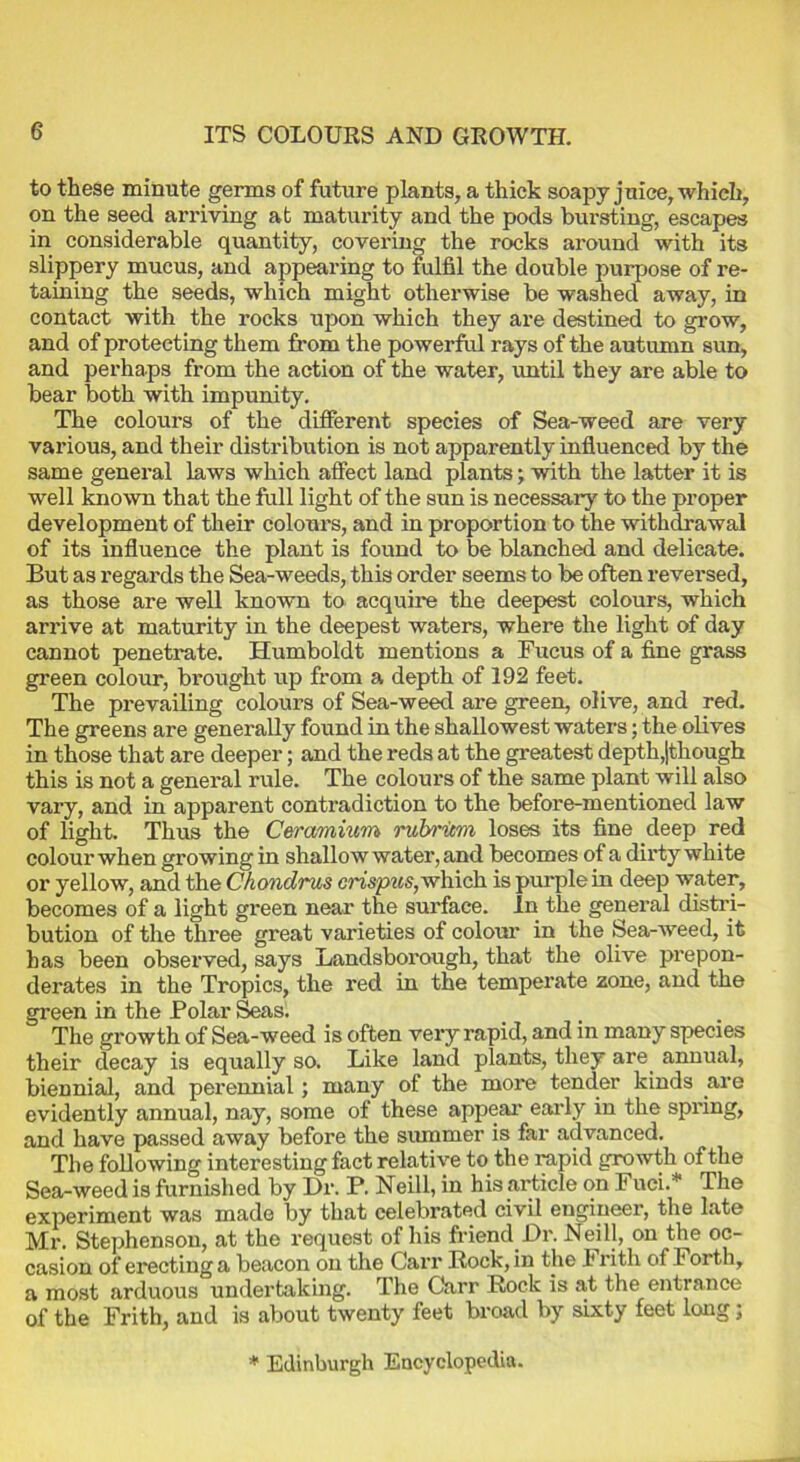 to these minute germs of future plants, a thick soapy juice, which, on the seed arriving at maturity and the pods bursting, escapes in considerable quantity, covering the rocks around with its slippery mucus, and appearing to fulfil the double purpose of re- taining the seeds, which might otherwise be washed away, in contact with the rocks upon which they are destined to grow, and of protecting them from the powerful rays of the autumn sun, and perhaps from the action of the water, until they are able to bear both with impunity. The colours of the different species of Sea-weed are very various, and their distribution is not apparently influenced by the same general laws which affect land plants; with the latter it is well known that the full light of the sun is necessary to the proper development of their colours, and in proportion to the withdrawal of its influence the plant is found to be blanched and delicate. But as regards the Sea-weeds, this order seems to be often reversed, as those are well known to acquire the deepest colours, which arrive at maturity in the deepest waters, where the light of day cannot penetrate. Humboldt mentions a Fucus of a fine grass green colour, brought up from a depth of 192 feet. The prevailing colours of Sea-weed are green, olive, and red. The greens are generally found in the shallowest waters; the olives in those that are deeper; and the reds at the greatest depth,(though this is not a general rule. The colours of the same plant will also vary, and in apparent contradiction to the before-mentioned law of light. Thus the Ceramium rubrim loses its fine deep red colour when growing in shallow water, and becomes of a dirty white or yellow, and the Ckondrus crispus, which is purple in deep water, becomes of a light green near the surface. In the general distri- bution of the three great varieties of colour in the Sea-weed, it has been observed, says Landsborough, that the olive prepon- derates in the Tropics, the red in the temperate zone, and the green in the Polar Seas. The growth of Sea-weed is often very rapid, and in many species their decay is equally so. Like land plants, they are annual, biennial, and perennial; many of the more tender kinds are evidently annual, nay, some of these appear early in the spring, and have passed away before the summer is far advanced. The following interesting fact relative to the rapid growth of the Sea-weed is furnished by Dr. P. Neill, in his article on Fuei.* The experiment was made by that celebrated civil engineer, the late Mr. Stephenson, at the request of his friend Dr. Neill, on the oc- casion of erecting a beacon on the Can* Rock, in the Frith of Forth, a most arduous undertaking. The Carr Rock is at the entrance of the Frith, and is about twenty feet broad by sixty feet long; * Edinburgh Encyclopedia.