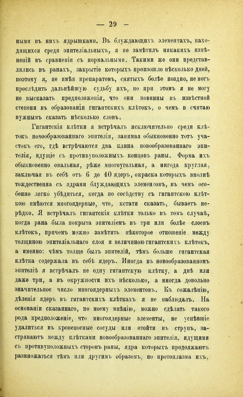 ными въ нихъ ядрышками. Въ блуждающихъ элемѳнтахъ, нахо- дящихся средп эпитѳліальныхъ, я не замѣтилъ никакихъ измѣ- нѳиій въ сравненіи съ нормальными. Такими же они представ- лялись въ ранахъ, закрытіѳ которыхъ произошло нѣсколько дней, поэтому я, не имѣя препаратовъ, снятыхъ болѣѳ поздно, не могъ прослѣдить дальнѣйпіую судьбу ихъ, но при этомъ я не могу не высказать прѳдположеиія, что они повинны въ извѣстной степени въ образовали гигантскихь клѣтокъ, о чемъ и считаю нужнымъ сказать несколько словъ. Гигантскія клѣтки я встрѣчалъ исключительно среди клѣ- токъ новообразованнаго эпителія, занимая обыкновенно тотъ уча- стокъ его, гдѣ встрѣчаются два клина новообразованнаго эни- телія, идущіе съ против у иоложныхъ кондовъ раны. Форма ихъ обыкновенно овальная, рѣжѳ многоугольная, а ингода круглая, заключая въ себѣ отъ 6 до 40 ядеръ, окраска которыхъ вполнѣ тождественна съ ядрами блуждающихъ элеменговъ, въ чемъ осо- бенно легко убѣдиться, когда по сосѣдству съ гигантскою клѣт- кою имѣются многоядерные, что, кстати сказать, бываѳтъ нѳ- рѣдко. Я встрѣчалъ гигантскія клѣтки только въ томъ случаѣ, когда рана была покрыта эпитѳліемъ въ три или болѣе слоевъ клѣтокъ, причемъ можно замѣтить нѣкоторое отношѳніѳ между толщиною эпитѳліальнаго слоя и величиною гигантских ь клѣтокъ, а именно: чѣмъ толще былъ эпителій, тѣмъ больше гигантская клѣтка содержала въ себѣ яд еръ. Иногда въ новообразованномъ эпитѳліѣ я встрѣчалъ не одну гигантскую клѣтку, а двѣ или даже три, а въ окружности ихъ нѣсколько, а иногда довольно значительное число многоядерныхъ элементовъ. Къ сожалѣнію, дѣленія ядеръ въ гигантскихь клѣткахъ я не паблюдалъ. На основаніи сказаннаго, по моему мнѣнію, можно сдѣлать такого рода предположеніе, что многоядерные элементы, не уснѣвгаіе удалиться въ кровеносные сосуды или отойти въ струпъ, за- стряваютъ между клѣтками новообразованнаго эпителія, идущими съ противуиоложныхъ сторонъ раны, ядра которыхъ продолжаютъ размножаться тѣмъ или другимъ образомъ, но протоплазма ихъ,