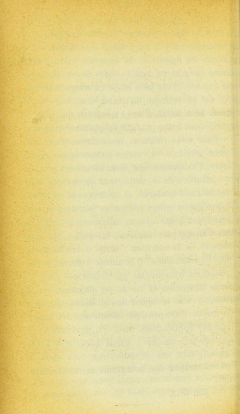 BIWBPS^ :'*;.9'j» ^s;' '' *'lC*i<^’;.' vu'i,' -»V'v^j r i [C*:VA^r'‘i'- ‘i*:'*' .1- -.<!, «■ . '‘•■‘'■'T P , ^‘■» -i' • r* ^^■'i • . - ■ '' *'lC*i<^’;.' vu'i,' -»V'v^j r I Ui^-j. fe*:V^!t.->.... ..-.f >:..M.;-.' ,1'^ -.^ /'. : *.. 'Vi ?<*'.• v..':tn;^ ^li' BSi?''^J' V.S^’^ ■'• ' ' - . i: V, r; *',. >.'Jtn ■ -11; ' v.s^ ■4''.' •■'■.■- -i, • ' '' ,,ÿvA ^;: . > - r.n:.' ■.• ’■ '-‘V '*t' iSio « -. • ' .■*.-•'' 'v'v^^.. ■’  “'L'. * *J1' '^- 'i.*' U ”' . ■' yXi^.^’., ,^,.i • • . ww?).'.. •444br);-iîiH»'.‘>.')ï''’' '^'' , ■ • ■ ■, i'’>ji ■'. N' * . ■^•‘ ^iv .; n. •-
