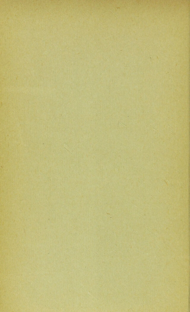 digitised image 2