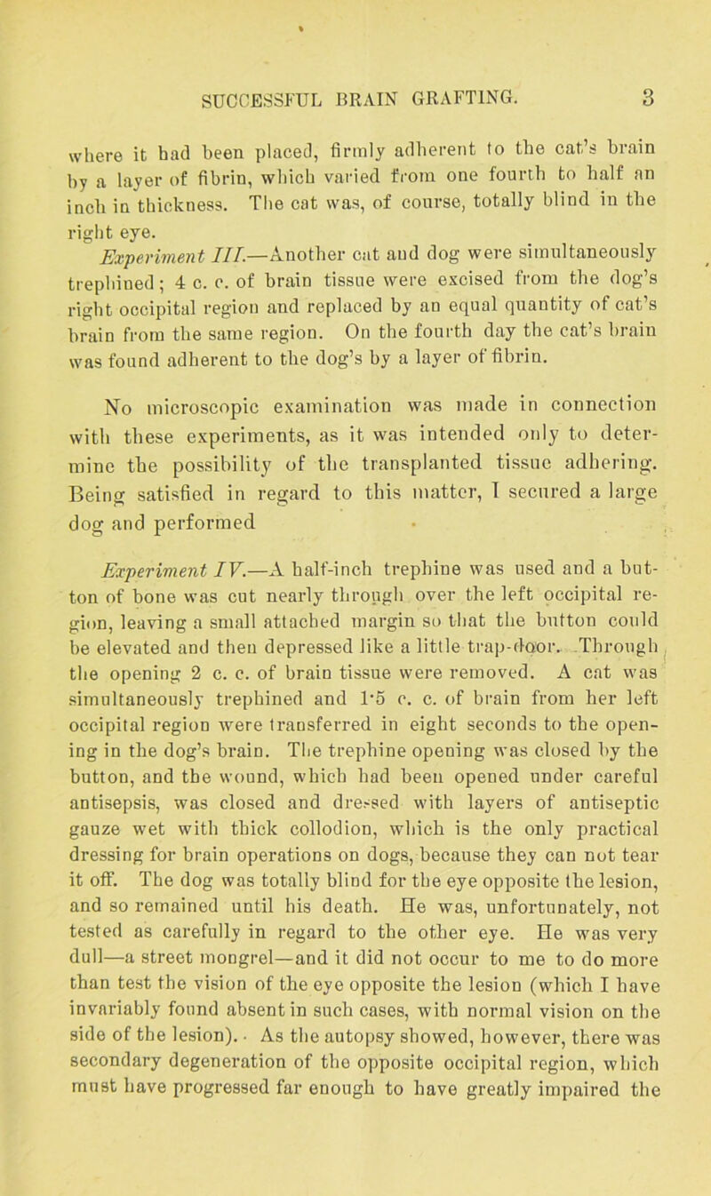 where it bad been placed, firmly adherent to the cat’s brain by a layer of fibrin, which varied from one fourth to half an inch in thickness. The cat was, of course, totally blind in the right eye. Experiment III.—Another cat and dog were simultaneously trephined; 4 c. c. of brain tissue were excised from the dog’s right occipital region and replaced by an equal quantity of cat’s brain from the same region. On the fourth day the cat’s brain was found adherent to the dog’s by a layer of fibrin. No microscopic examination was made in connection with these experiments, as it was intended only to deter- mine the possibility of the transplanted tissue adhering. Being satisfied in regard to this matter, 1 secured a large dog and performed Experiment IV.—A half-inch trephine was used and a but- ton of bone was cut nearly through over the left occipital re- gion, leaving a small attached margin so that the button could be elevated and then depressed like a little trap-door. Through the opening 2 c. c. of brain tissue were removed. A cat was simultaneously trephined and 1*5 c. c. of brain from her left occipital region were transferred in eight seconds to the open- ing in the dog’s brain. The trephine opening was closed by the button, and the wound, which had been opened under careful antisepsis, was closed and dressed with layers of antiseptic gauze wet with thick collodion, which is the only practical dressing for brain operations on dogs, because they can not tear it off. The dog was totally blind for the eye opposite the lesion, and so remained until his death. He was, unfortunately, not tested as carefully in regard to the other eye. He was very dull—a street mongrel—and it did not occur to me to do more than test the vision of the eye opposite the lesion (which I have invariably found absent in such cases, with normal vision on the side of the lesion). • As the autopsy showed, however, there was secondary degeneration of the opposite occipital region, which must have progressed far enough to have greatly impaired the