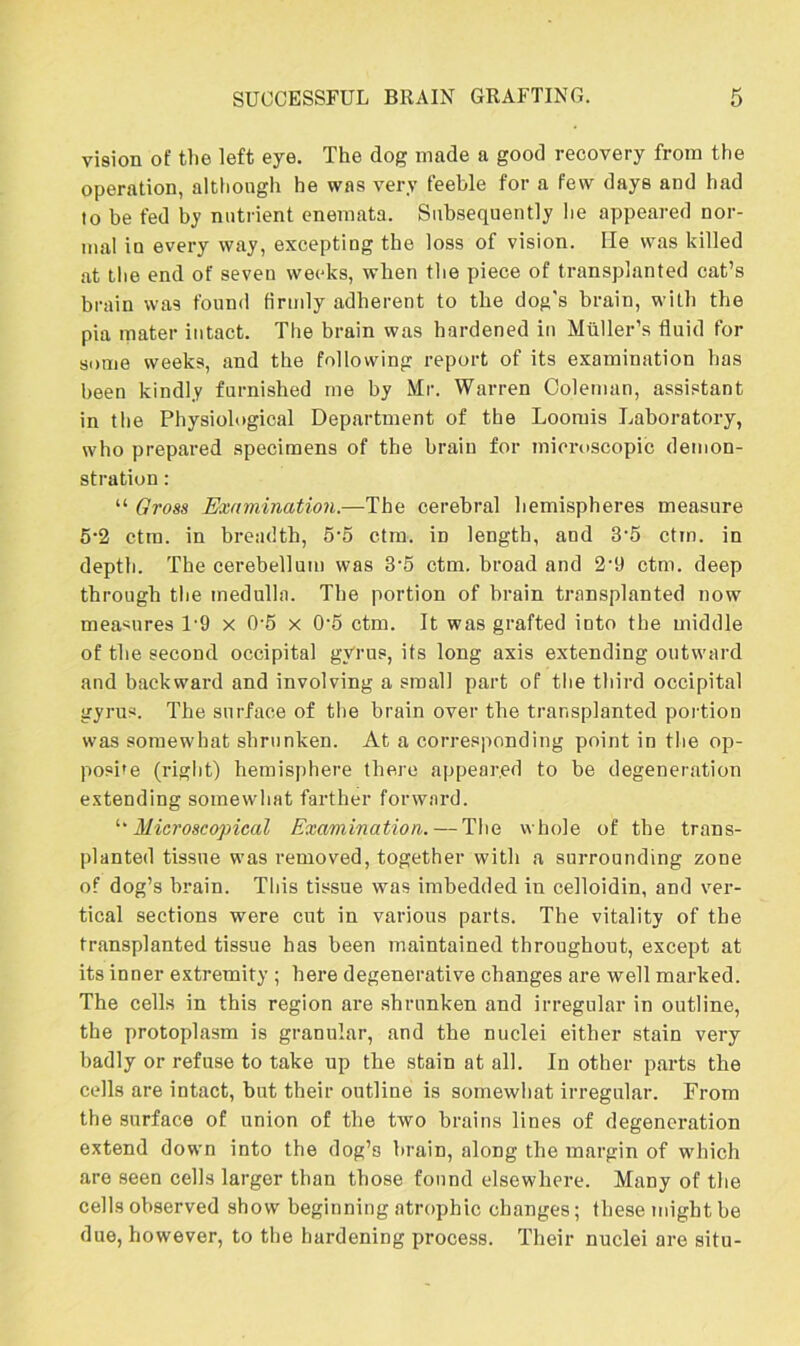 vision of the left eye. The dog made a good recovery from the operation, although he was very feeble for a few days and had to be fed by nutrient enemata. Subsequently he appeared nor- mal in every way, excepting the loss of vision. He was killed at the end of seven weeks, when the piece of transplanted cat’s brain was found firmly adherent to the dog's brain, with the pia mater intact. The brain was hardened in Muller’s fluid for some weeks, aud the following report of its examination has been kindly furnished me by Mr. Warren Coleman, assistant in the Physiological Department of the Loomis Laboratory, who prepared specimens of the brain for microscopic demon- stration : “ Gross Examination.—The cerebral hemispheres measure 5-2 ctm. in breadth, 5-5 ctm. in length, and 3-5 ctm. in depth. The cerebellum was 3'5 ctm. broad and 2-t) ctm. deep through the medulla. The portion of brain transplanted now measures 1'9 x 0'5 x 0-5 ctm. It was grafted into the middle of the second occipital gvrus, its long axis extending outward and backward and involving a small part of the third occipital gyrus. The surface of the brain over the transplanted portion was somewhat shrunken. At a corresponding point in the op- posite (right) hemisphere there appeared to be degeneration extending somewhat farther forward. 'Microscopical Examination. — The whole of the trans- planted tissue was removed, together with a surrounding zone of dog’s brain. This tissue was imbedded in celloidin, and ver- tical sections were cut in various parts. The vitality of the transplanted tissue has been maintained throughout, except at its inner extremity ; here degenerative changes are well marked. The cells in this region are shrunken and irregular in outline, the protoplasm is granular, and the nuclei either stain very badly or refuse to take up the stain at all. In other parts the cells are intact, but their outline is somewhat irregular. From the surface of union of the two brains lines of degeneration extend down into the dog’s brain, along the margin of which are seen cells larger than those found elsewhere. Many of the cells observed show beginning atrophic changes; these might be due, however, to the hardening process. Their nuclei are situ-