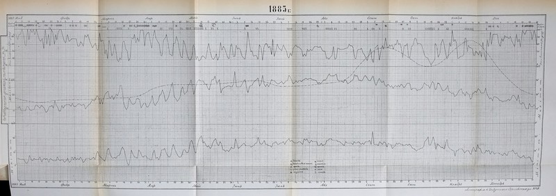 НояйрЬ Уы>н6 7н)л/г Н,олс)^6 Л{*ш. тоу^а/рсл М 2/мЯу7 ■/жнвстѣ (Эі.