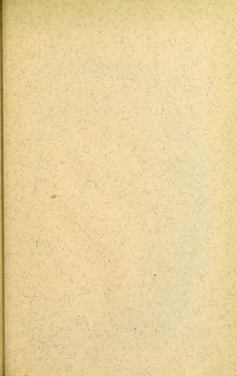 -1 '■' ' V I с. -^.^'-^ІЛ ^ѴС^ '^- ч-ч^-',-, '