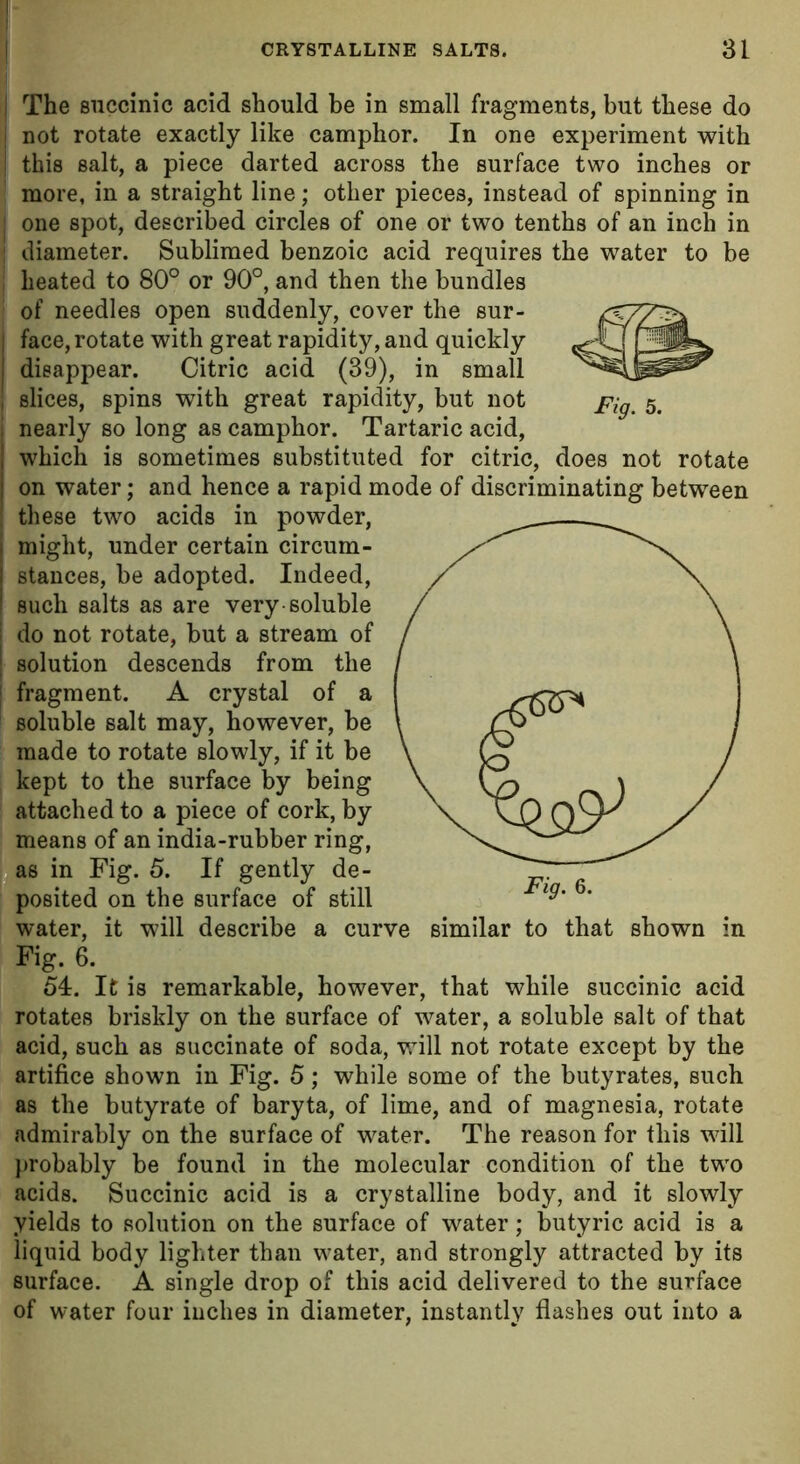 | The succinic acid should be in small fragments, but these do ; not rotate exactly like camphor. In one experiment with ! this salt, a piece darted across the surface two inches or more, in a straight line; other pieces, instead of spinning in j one spot, described circles of one or two tenths of an inch in : diameter. Sublimed benzoic acid requires the water to be heated to 80° or 90°, and then the bundles of needles open suddenly, cover the sur- ] face, rotate with great rapidity, and quickly disappear. Citric acid (39), in small ! slices, spins with great rapidity, but not j nearly so long as camphor. Tartaric acid, i which is sometimes substituted for citric, does not rotate I on water; and hence a rapid mode of discriminating between ; these two acids in powder, might, under certain circum- stances, be adopted. Indeed, such salts as are very-soluble i do not rotate, but a stream of | solution descends from the j fragment. A crystal of a soluble salt may, however, be made to rotate slowly, if it be kept to the surface by being attached to a piece of cork, by means of an india-rubber ring, as in Fig. 5. If gently de- posited on the surface of still water, it will describe a curve similar to that shown in Fig. 6. 54. It is remarkable, however, that while succinic acid rotates briskly on the surface of water, a soluble salt of that acid, such as succinate of soda, will not rotate except by the artifice shown in Fig. 5; while some of the butyrates, such as the butyrate of baryta, of lime, and of magnesia, rotate admirably on the surface of water. The reason for this will probably be found in the molecular condition of the two acids. Succinic acid is a crystalline body, and it slowly yields to solution on the surface of water; butyric acid is a liquid body lighter than water, and strongly attracted by its surface. A single drop of this acid delivered to the surface of water four inches in diameter, instantly flashes out into a Fig. 5.