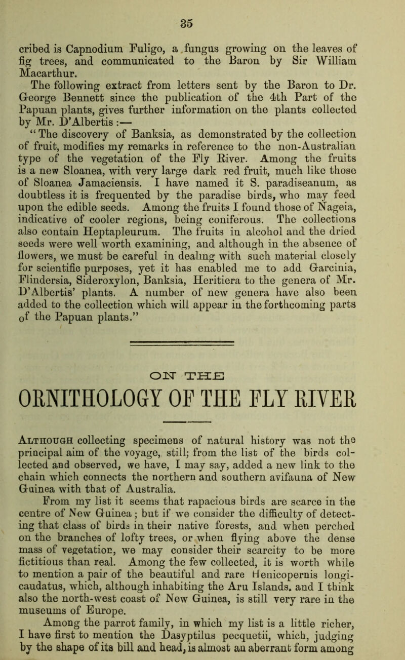 cribed is Capnodium Fuligo, a fungus growing on the leaves of fig trees, and communicated to the Baron by Sir William Macarthur. The following extract from letters sent by the Baron to Dr. George Bennett since the publication of the 4th Part of the Papuan plants, gives further information on the plants collected by Mr. D’Albertis :— “The discovery of Banksia, as demonstrated by the collection of fruit, modifies my remarks in reference to the non-Australian type of the vegetation of the Fly Eiver. Among the fruits is a new Sloanea, with very large dark red fruit, much like those of Sloanea Jamaciensis. I have named it S. paradiseanum, as doubtless it is frequented by the paradise birds, who may feed upon the edible seeds. Among the fruits I found those of Nageia, indicative of cooler regions, being coniferous. The collections also contain Heptapleurum. The fruits in alcohol and the dried seeds were well worth examining, and although in the absence of flowers, we must be careful in dealing with such material closely for scientific purposes, yet it has enabled me to add Garcinia, Flindersia, Sideroxylon, Banksia, Heritiera to the genera of Mr. D’Albertis’ plants. A number of new genera have also been added to the collection which will appear in the forthcoming parts 0f the Papuan plants.” OIT THE ORNITHOLOGY OF THE FLY RIVER Although collecting specimens of natural history was not tho principal aim of the voyage, still; from the list of the birds col- lected and observed, we have, I may say, added a new link to the chain which connects the northern and southern avifauna of New Guinea with that of Australia. From my list it seems that rapacious birds are scarce in the centre of New Guinea ; but if we consider the difficulty of detect- ing that class of birds in their native forests, and when perched on the branches of lofty trees, or when flying above the dense mass of vegetation, we may consider their scarcity to be more fictitious than real. Among the few collected, it is worth while to mention a pair of the beautiful and rare Henicopernis longi- caudatus, which, although inhabiting the Aru Islands, and I think also the north-west coast of New Guinea, is still very rare in the museums of Europe. Among the parrot family, in which my list is a little richer, I have first to mention the Dasyptilus pecquetii, which, judging by the shape of its bill and head, is almost an aberrant form among