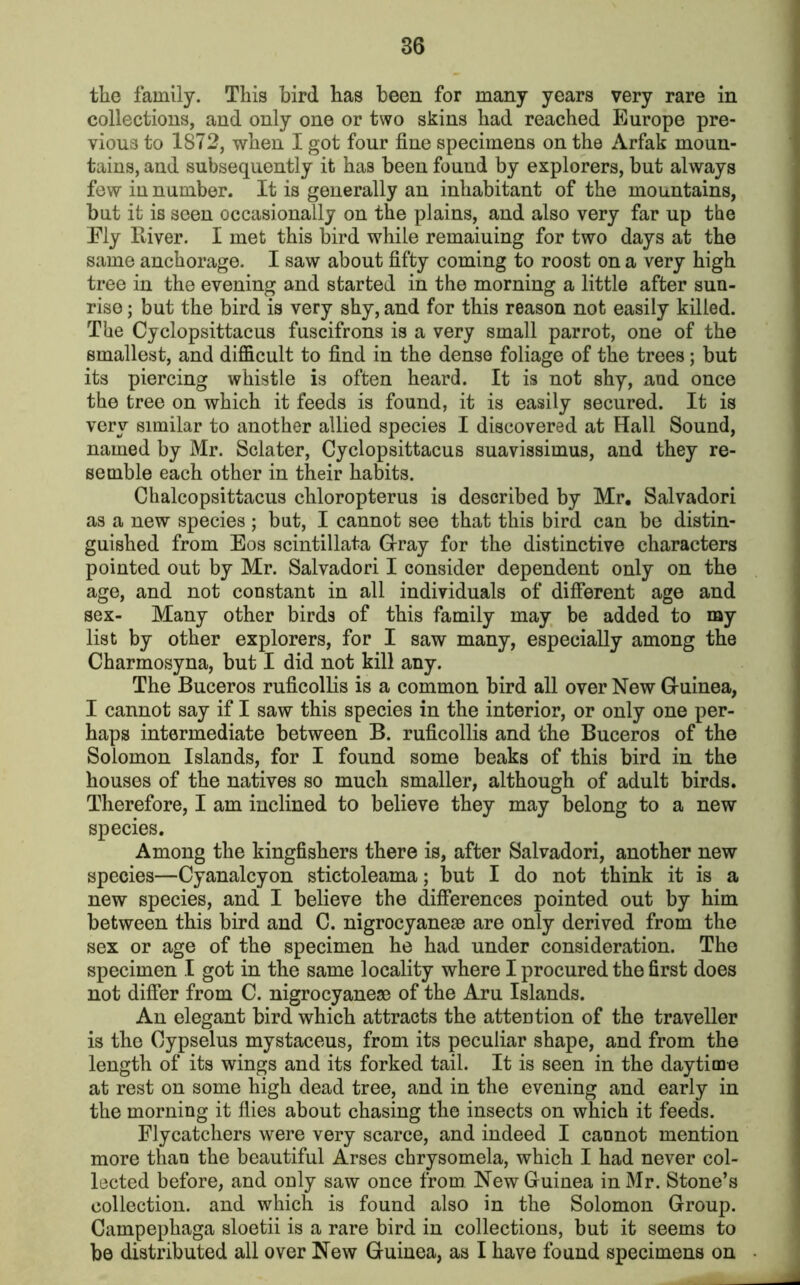 the family. This bird has been for many years very rare in collections, and only one or two skins had reached Europe pre- vious to 1872, when I got four fine specimens on the Arfak moun- tains, and subsequently it has been found by explorers, but always few in number. It is generally an inhabitant of the mountains, but it is seen occasionally on the plains, and also very far up the Ely River. I met this bird while remaiuing for two days at the same anchorage. I saw about fifty coming to roost on a very high tree in the evening and started in the morning a little after sun- rise ; but the bird is very shy, and for this reason not easily killed. The Cyclopsittacus fuscifrons is a very small parrot, one of the smallest, and difficult to find in the dense foliage of the trees; but its piercing whistle is often heard. It is not shy, and once the tree on which it feeds is found, it is easily secured. It is very similar to another allied species I discovered at Hall Sound, named by Mr. Sclater, Cyclopsittacus suavissimus, and they re- semble each other in their habits. Chalcopsittacus chloropterus is described by Mr. Salvadori as a new species ; but, I cannot see that this bird can be distin- guished from Eos scintillata G-ray for the distinctive characters pointed out by Mr. Salvadori I consider dependent only on the age, and not constant in all individuals of different age and sex- Many other birds of this family may be added to my list by other explorers, for I saw many, especially among the Charmosyna, but I did not kill any. The Buceros ruficollis is a common bird all over New Guinea, I cannot say if I saw this species in the interior, or only one per- haps intermediate between B. ruficollis and the Buceros of the Solomon Islands, for I found some beaks of this bird in the houses of the natives so much smaller, although of adult birds. Therefore, I am inclined to believe they may belong to a new species. Among the kingfishers there is, after Salvadori, another new species—Cyanalcyon stictoleama; but I do not think it is a new species, and I believe the differences pointed out by him between this bird and C. nigrocyanese are only derived from the sex or age of the specimen he had under consideration. The specimen I got in the same locality where I procured the first does not differ from C. nigrocyaneae of the Aru Islands. An elegant bird which attracts the attention of the traveller is the Oypselus mystaceus, from its peculiar shape, and from the length of its wings and its forked tail. It is seen in the daytime at rest on some high dead tree, and in the evening and early in the morning it flies about chasing the insects on which it feeds. Flycatchers were very scarce, and indeed I cannot mention more than the beautiful Arses chrysomela, which I had never col- lected before, and only saw once from New Guinea in Mr. Stone’s collection, and which is found also in the Solomon Group. Campephaga sloetii is a rare bird in collections, but it seems to be distributed all over New Guiuea, as I have found specimens on
