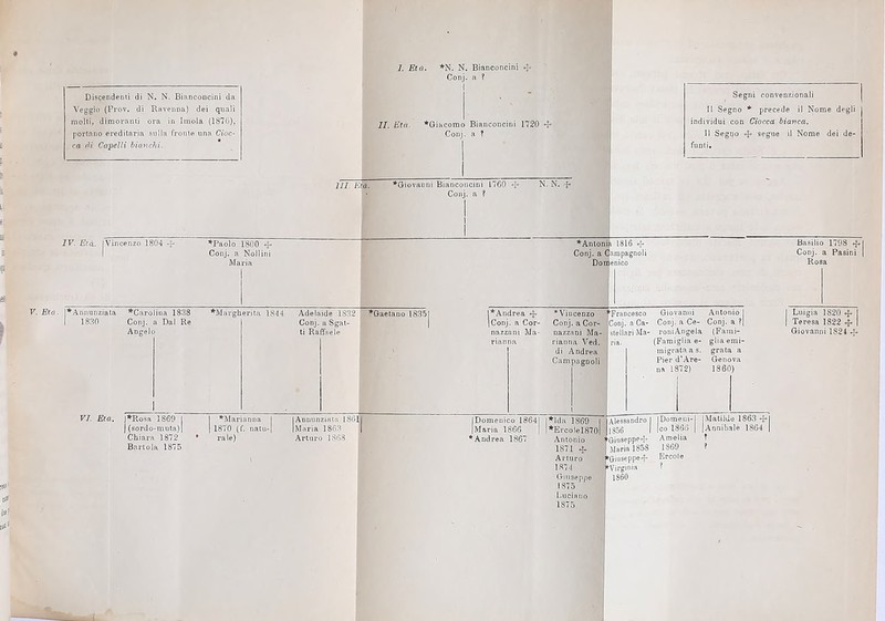 1. Età. *N. N. Bianconcini Discendenti di N. N. Bianconcini da 1 1 • ■ Segni convenzionali j Veggio (Prov. di Ravenna) dei quali Il Segno * precede il Nome degli | molti, dimoranti ora in Imola (1876), IL Età. ^Giacomo Bianconcini 1720 individui con Ciocca bianca. | portano ereditaria sulla fronte una Cioc- Conj. a ? 11 Segpo segue il Nome dei de- ca lU Capelli bianchi. ruoli. 1 ìli Età. *Giovatini Bianconcini 1760 i* Conj. a ? i IV. Età. [Vincenzo 1804 -'r ■ Età. ]»ADnunziata *Carolioa 1838 I 1880 Conj. a Dal Re Angelo *Paolo 1800 ^ Conj. a Nollini *Mai'gherita 1S44 1 Adelaide 1832 *Gaetano 18351 Conj. a Sgat- ti Raffaele l*Andrea *J- jConj. a Cor- nazzani Ma- rianna ^Antoniji 1816 Conj. a Campagnoli Doti|enico •Vincenzo Conj. a Cor- nazzani Ma- rianna Ved. di Andrea Campagnoli ' •Francesco Conj. a Ca- stellari Ma- Giovanni Conj. a Ce- roniAngela (Famiglia e- inigrataas. Pier d’Are- na 1872) Conj. a ?| (Fami- giiaemi- Genova Basilio 1798 4.I Conj. a Pasini | Rosa I Luigia 1820 I Teresa 1822 .f. Giovanni 1824 4- VI. Eia. )»Rosa 1869 I | ‘Marianna I I (sordo-muta)I 1 1870 (f. natu-| Chiara 1872 * rale) Barlola 1875 Annunziata I86I1 Maria 186;^ | Arturo 1868 t*Ida 1869 I l*ErcoleI870| Antonio 1871 -1- Arturo 1874 ' Alessandro | 1856 I ' Giuseppe*!- Maria 1858 ^Giuseppe^f ‘Virginia 1860 |Domeui-| |co 1866 I Amelia 1869 [Matilde 1863 -f j [Annibale 1864 | Luciano