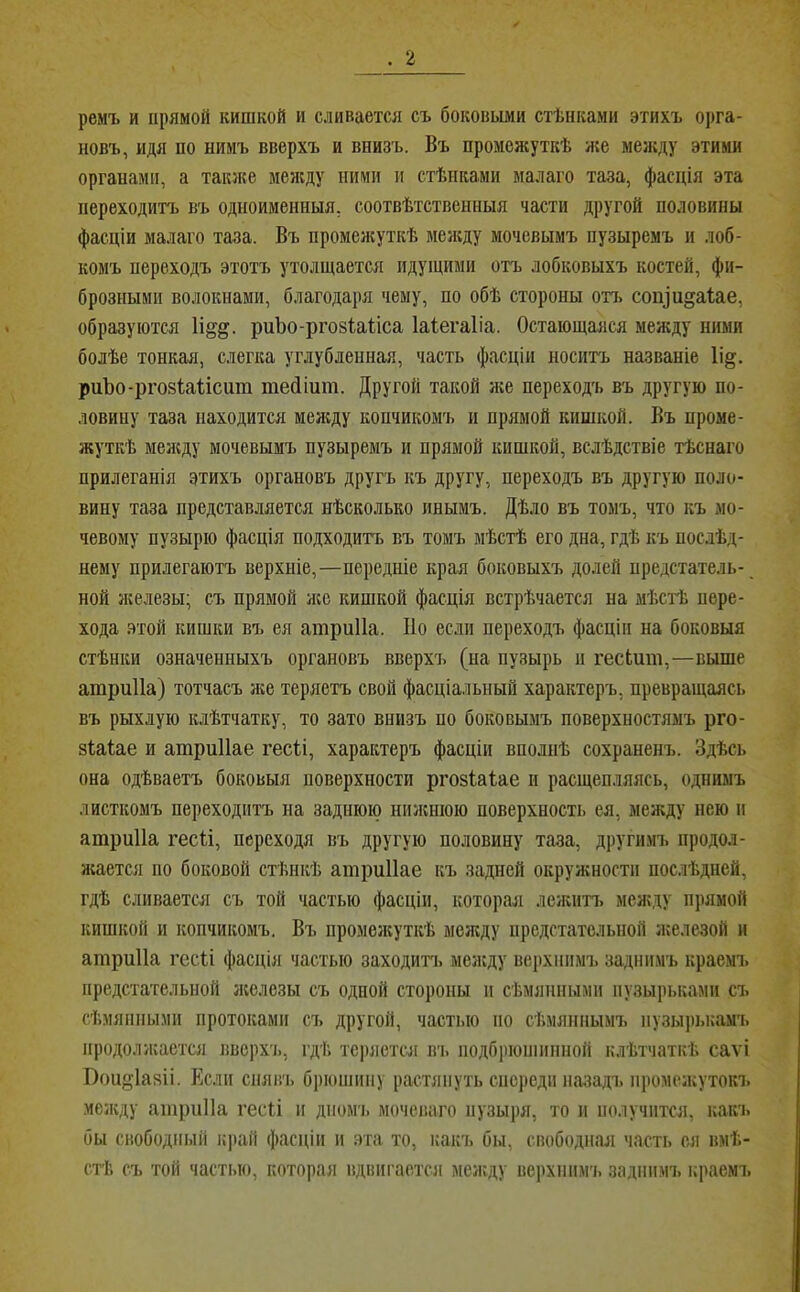 ремъ и прямой кишкой и сливается съ боковьши стѣнками этихъ орга- новъ, идя по нимъ вверхъ и внизъ. Въ промежуткѣ нее меяеду этими органами, а такяее между ними п стѣнками малаго таза, фасція эта переходитъ въ одноименныя, соотвѣтственныя части другой половины фасціи малаго таза. Въ промеяеуткѣ меяеду мочевымъ пузыремъ и лоб- комъ нереходъ этотъ утолщается идущими отъ лобковыхъ костей, фи- брозными волокнами, благодаря чему, по обѣ стороны отъ соіу'и^аіае, образуются Іі^д. риЪо-ргозіаІіса Іаіегаііа. Остающаяся между ними болѣе тонкая, слегка углубленная, часть фасціи носитъ названіе 1і§. риЪо-рго8Іаіісит тейіиш. Другой такой яее переходъ въ другую по- ловину таза находится меяеду копчикомъ и прямой кишкой. Въ проме- жуткѣ меяеду мочевымъ пузыремъ и прямой кишкой, вслѣдствіе тѣснаго прилеганія этихъ органовъ другъ къ другу, переходъ въ другую поло- вину таза представляется нѣсколько инымъ. Дѣло въ томъ, что къ мо- чевому пузырю фасція подходитъ въ томъ мѣстѣ его дна, гдѣ къ послѣд- нему прилегаютъ верхніе,—передніе края боковыхъ долей предстатель- _ ной яселезы; съ прямой л;е кишкой фасція встрѣчается на мѣстѣ пере- хода этой кишки въ ея атрпИа. Но если переходъ фасціи на боковыя стѣнки означенныхъ органовъ вверхъ (на пузырь н гесЬшн,—выше атриііа) тотчасъ яге теряетъ свой фасціальный характеръ, превращаясь въ рыхлую клѣтчатку, то зато внизъ по боковымъ поверхностямъ рго- зіаіае и атриИае гесіі, характеръ фасціи вполнѣ сохраненъ. Здѣсь она одѣваетъ боковыя поверхности ргозіаіае и расщеп.іяясь, однимъ листкомъ переходитъ на заднюю нияснюю поверхность ея, между нею и атриііа гесіі, переходя въ другую половину таза, други.чъ продол- жается по боковой стѣнкѣ атриИае къ задней окружности послѣдней, гдѣ сливается съ той частью фасціи, которая лежип> меягду прямой кишкой и копчикомъ. Въ промеясуткѣ между предстатольпой ягелезой и атриііа гесіі фасція частью заходитъ меягду верхнимъ задіш.чъ краемъ предстательной лгелезы съ одной стороны и сѣмянными пузырьками съ сѣмяпнымп протоками съ другой, частью по сѣмянпымъ пузырі.камъ продолягается вверхъ, гдѣ теряется въ подбрюпшнной клѣтчаткѣ саѵі Вои§1азіі. Если снявъ брюшину растянуть спереди назадъ промеягутокъ меягду атриііа гесіі и дпомь моченаго пузыря, то и получится, какч, бы свободный край фасціи и эта то, ігакъ бы, свободная часть ея вмѣ- стѣ съ той частью, которая вдвиі’ается меягду верхнимъ заднимъ краемч.