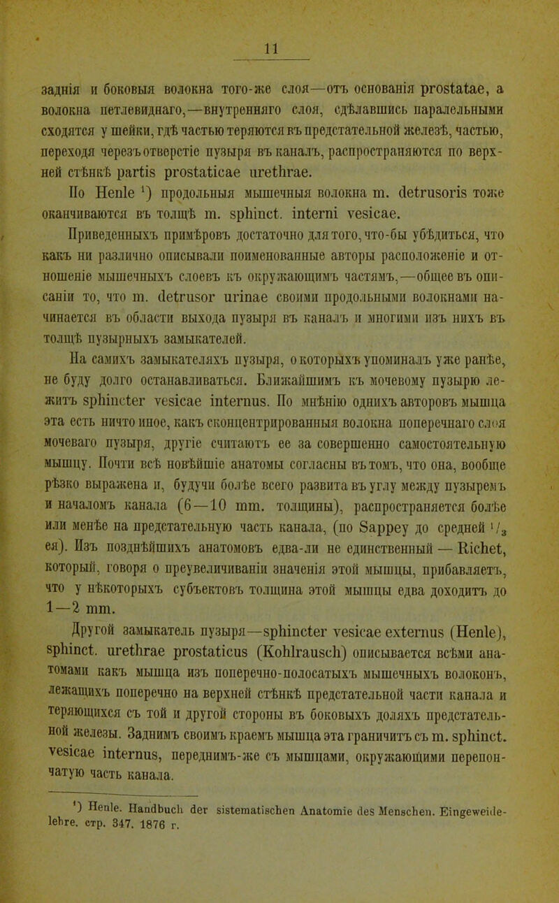 заднія и боковыя волокна того-же слоя—оп. основанія ргозіаіае, а волокна петлевиднаго,—внутренняго слоя, сдѣлавшись паралсльными сходятся у шейки, гдѣ частью теряются въ предстательной железѣ, частью, переходя черезъ отверстіе пузыря въ каналъ, распространяются по верх- ней стѣнкѣ рагііз ргозіаіісае игеіЬгае. По Непіе ‘) продольныя мышечныя волокна т. сіеігизогіз тоже оканчиваются въ толщѣ т. зрЫпсІ. іпіегпі ѵезісае. Приведенныхъ примѣровъ достаточно для того, что-бы убѣдиться, что какъ ни различно описывали поименованные авторы расположеніе и от- ношеніе мышечныхъ слоевъ къ окруікающимъ частямъ,—общее въ опи- саніи то, что іп. (Іеігизог игіпае своими продольными волокнами на- чинается въ области выхода пузыря въ каналъ и многими изъ нихъ въ толщѣ пузырныхъ замыкателей. На самихъ замыкателяхъ пузыря, о которыхъ упоминалъ ул;е ранѣе, не буду долго останавливаться. Ближайшимъ къ мочевому пузырю ле- житъ зрЫікѣег ѵезісае іпіегпиз. По мнѣнію однихъ авторовъ мышца эта есть ничто иное, какъ сконцентрированныя волокна поперечнаго слоя мочеваго пузыря, другіе считаютъ ее за совершенно самостоятельную мышцу. Почти всѣ новѣйшіе анатомы согласны въ томъ, что она, вообще рѣзко выраліена и, будучи болѣе всего развита въ углу между пузыремъ и нача.іомъ канала (6 —10 тш. толщины), распространяется болѣе или менѣе па предстательную часть канала, (по Зарреу до средней ' /д ея). Изъ позднѣйшихъ анатомовъ едва-ли не единственный — КісЬеІ, который, говоря о преувеличиваніи значенія этой мышцы, прибавляет!., что у нѣкоторыхъ субъектовъ толщина этой мышцы едва доходип. до 1—2 тт. Другой замыкатель пузыря—зрЫпсІег ѵезісае ехіепшз (Непіе), зріііпсі. пгеііігае ргозіаіісиз (КоЫгаизсІі) описывается всѣми ана- томами какъ мышца изъ поперечно-полосатыхъ мышечныхъ волоконъ, лежащихъ поперечно на верхней стѣнкѣ предстательной части канала и теряющихся съ той и другой стороны въ боковыхъ доляхъ предстатель- ной железы. Заднимъ своимъ краемъ мышца эта граничитъ съ т. зрЫпсІ. ѵезісае іпіегпиз, переднимъ-л;е съ мышцами, окрулсающими перепон- чатую часть канала. ) Непіе. НапйЬисЬ Дег зіеІетаіівсЬеп Апаіотіе Дез МепасЬеп. Еіпдеѵеіііе- ІеЬге. стр. 347. 1876 г.