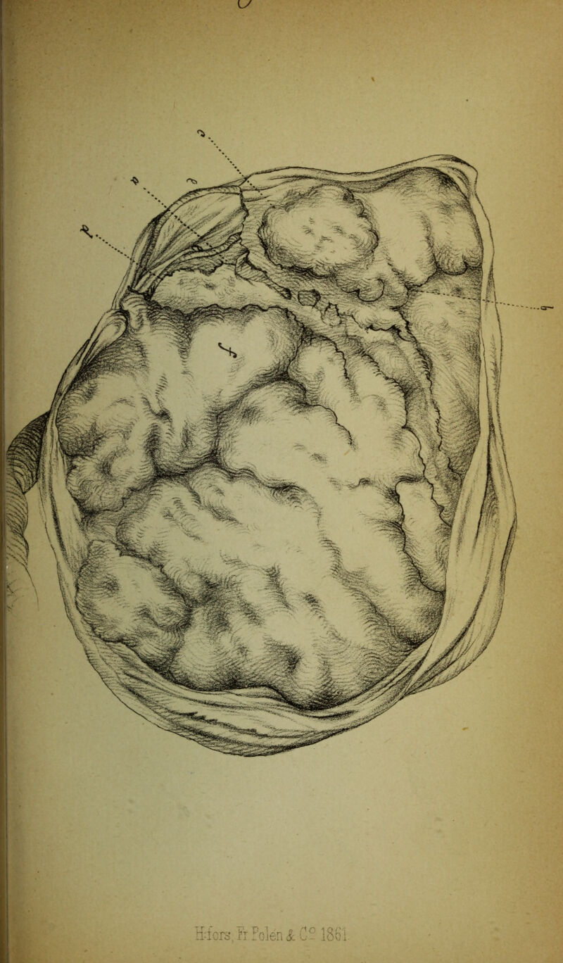 Efgra, fiPolén & C~ 1861.