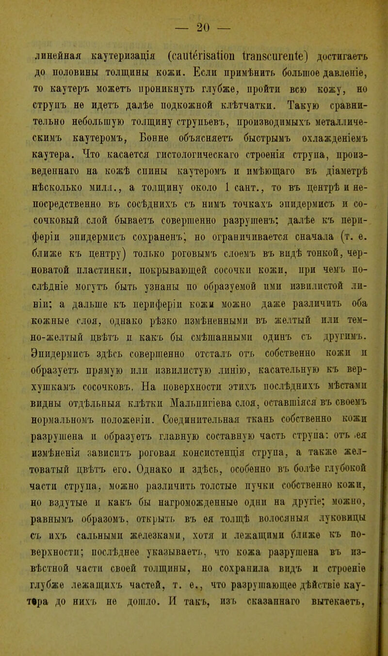 линейная каутеризація (саиіёщайоп (гаіізсшепіе) достигаегь до половины толщины кожи. Если примѣнить большое давленіе, то каутеръ ыожетъ проникнуть глубже, пройти всю кожу, но струнъ не идѳтъ далѣе подкожной клѣтчатки. Такую сравни- тельно небольшую толщину струпьевъ, нроизводіімыхъ металличе- скимъ каутероыъ, Бонне объясняете быстрыыъ охлажденіемъ каутѳра. Что касается гистологическаго строенія струпа, произ- вѳденнаго на кожѣ сиины каутеромъ и пмѣющаго въ діаметрѣ нѣсколько милл., а толщину около 1 сант., то въ центрѣ и не- посредственно въ сосѣднихъ съ шшъ точкахъ эпидермисъ и со- сочковый слой бываетъ совершенно разрушены далѣе къ пери- фѳріи эпидермисъ сохранѳнъ; но ограничивается сначала (т. е. ближе къ центру) только роговымъ слоемъ въ видѣ тонкой, чер- новатой пластинки, покрывающей сосочки кожи, при чемъ по- слѣдніе могутъ быть узнаны по образуемой ими извилистой ли- ши; а дальше къ периферіи кожи можно даже различить оба кожные слоя, однако рѣзко измѣненными въ желтый или тем- но-желтый цвѣтъ п какъ бы смѣшанными одинъ съ другимъ. Эпидермисъ здѣсь совершенно отсталъ отъ собственно кожи и образустъ прямую пли извилистую линію, касательную къ вер- хушкамъ сосочковъ. На поверхности этихъ послѣднихъ иѣстамв видны отдѣльныя клѣткіі Мальпигіева слоя, оставшіяся въ своемъ нормальномъ положевіи. Соединительная ткань собственно кожи разрушена и образуетъ главную составную часть струпа: оть >ея измѣненіл завнснтъ роговая консистенція струпа, а также жел- товатый цвѣтъ его. Однако и здѣсь, особенно въ болѣе глубокой части струпа, можно различить толстые пучки собственно кожи, но вздутые и какъ бы нагроможденные одпн на другіе; можно, равпымъ образомъ, открыть въ ея толщѣ волосяныя луковицы съ ихъ сальными железками, хотя и лежащими ближе къ по- верхности; послѣднее указывает!., что кожа разрушена въ из- вѣстпой части своей толщины, но сохранила видъ и строеніѳ глубже лежащихъ частей, т. е., что разрушающее дѣйствіѳ кау- тіра до нихъ но дошло. И такъ, изъ сказапнаго вытекаегь,