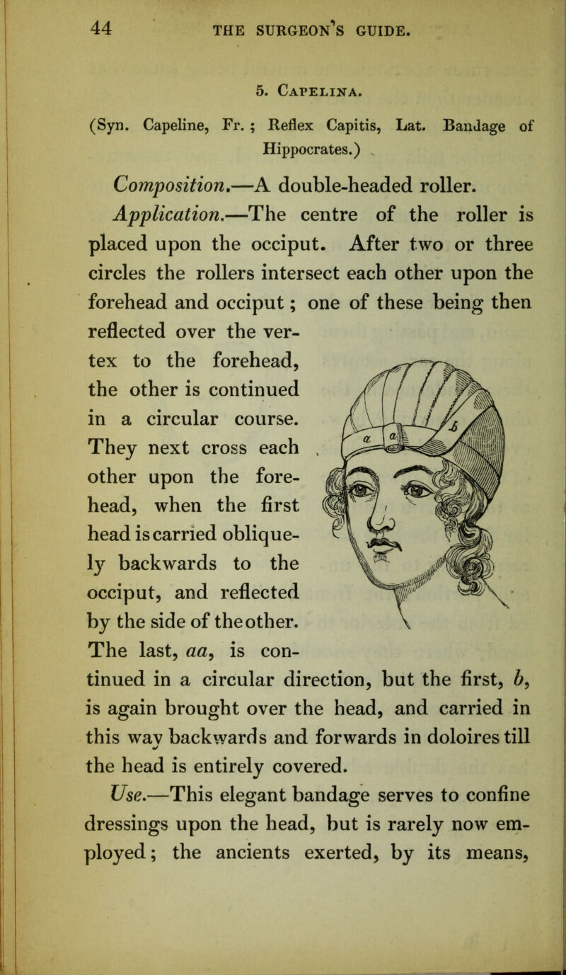 5. Capelika. (Syn. Capeline, Fr. ; Reflex Capitis, Lat. Bandage of Hippocrates.) Composition,—A double-headed roller. Application,—The centre of the roller is placed upon the occiput. After two or three circles the rollers intersect each other upon the forehead and occiput; one of these being then reflected over the ver- tex to the forehead, the other is continued in a circular course. They next cross each other upon the fore- head, when the first head is carried oblique- 1}^ backwards to the occiput, and reflected by the side of the other. The last, aa^ is con- tinued in a circular direction, but the first, 6, is again brought over the head, and carried in this way backwards and forwards in doloirestill the head is entirely covered. Use,—This elegant bandage serves to confine dressings upon the head, but is rarely now em- ployed; the ancients exerted, by its means.