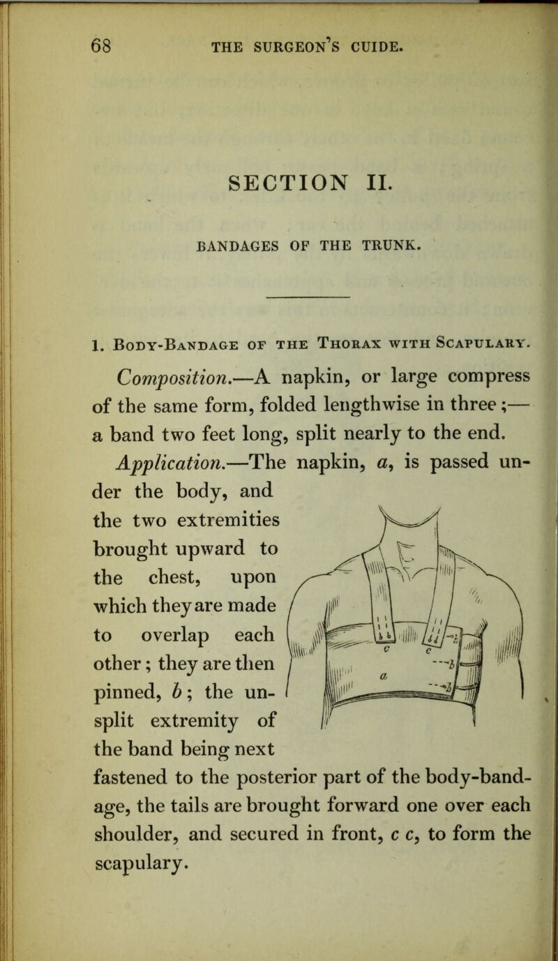 SECTION II. BANDAGES OF THE TRUNK. 1. Body-Bandage of the Thorax with Scapulary. Composition.—A napkin, or large compress of the same form, folded lengthwise in three;— a band two feet long, split nearly to the end. Application.—The napkin, a, is passed un- der the body, and the two extremities brought upward to the chest, upon which they are made to overlap each other; they are then pinned, 6; the un- split extremity of the band being next fastened to the posterior part of the body-band- age, the tails are brought forward one over each shoulder, and secured in front, c c, to form the scapulary. !