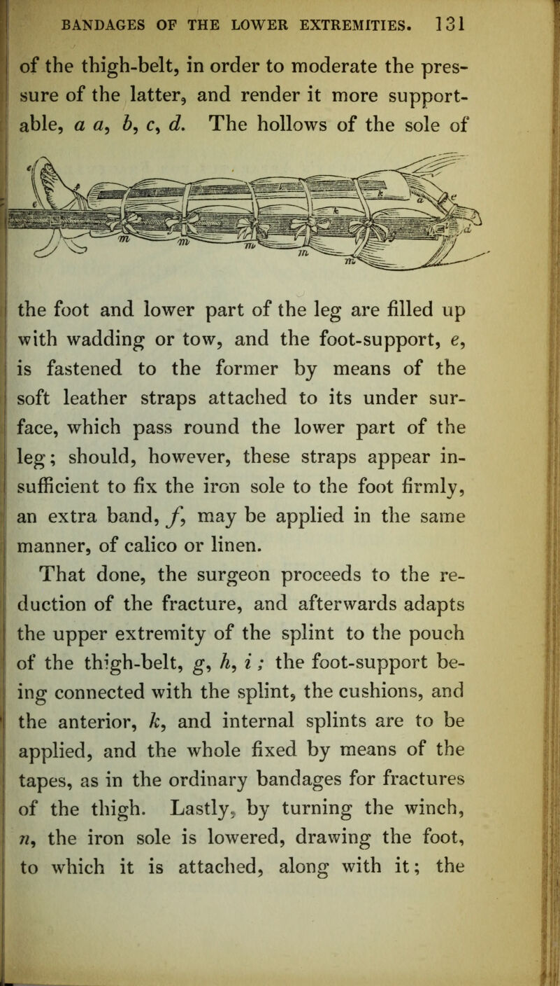 of the thigh-belt, in order to moderate the pres- sure of the latter, and render it more support- I the foot and lower part of the leg are filled up I with wadding or tow, and the foot-support, e, I is fastened to the former by means of the I soft leather straps attached to its under sur- j face, which pass round the lower part of the leg; should, however, these straps appear in- sufficient to fix the iron sole to the foot firmly, an extra band, fj may be applied in the same manner, of calico or linen. That done, the surgeon proceeds to the re- duction of the fracture, and afterwards adapts the upper extremity of the splint to the pouch of the thigh-belt, g, A, i; the foot-support be- ing connected with the splint, the cushions, and the anterior, A:, and internal splints are to be applied, and the whole fixed by means of the tapes, as in the ordinary bandages for fractures of the thigh. Lastly, by turning the winch, w, the iron sole is lowered, drawing the foot, to which it is attached, along with it; the