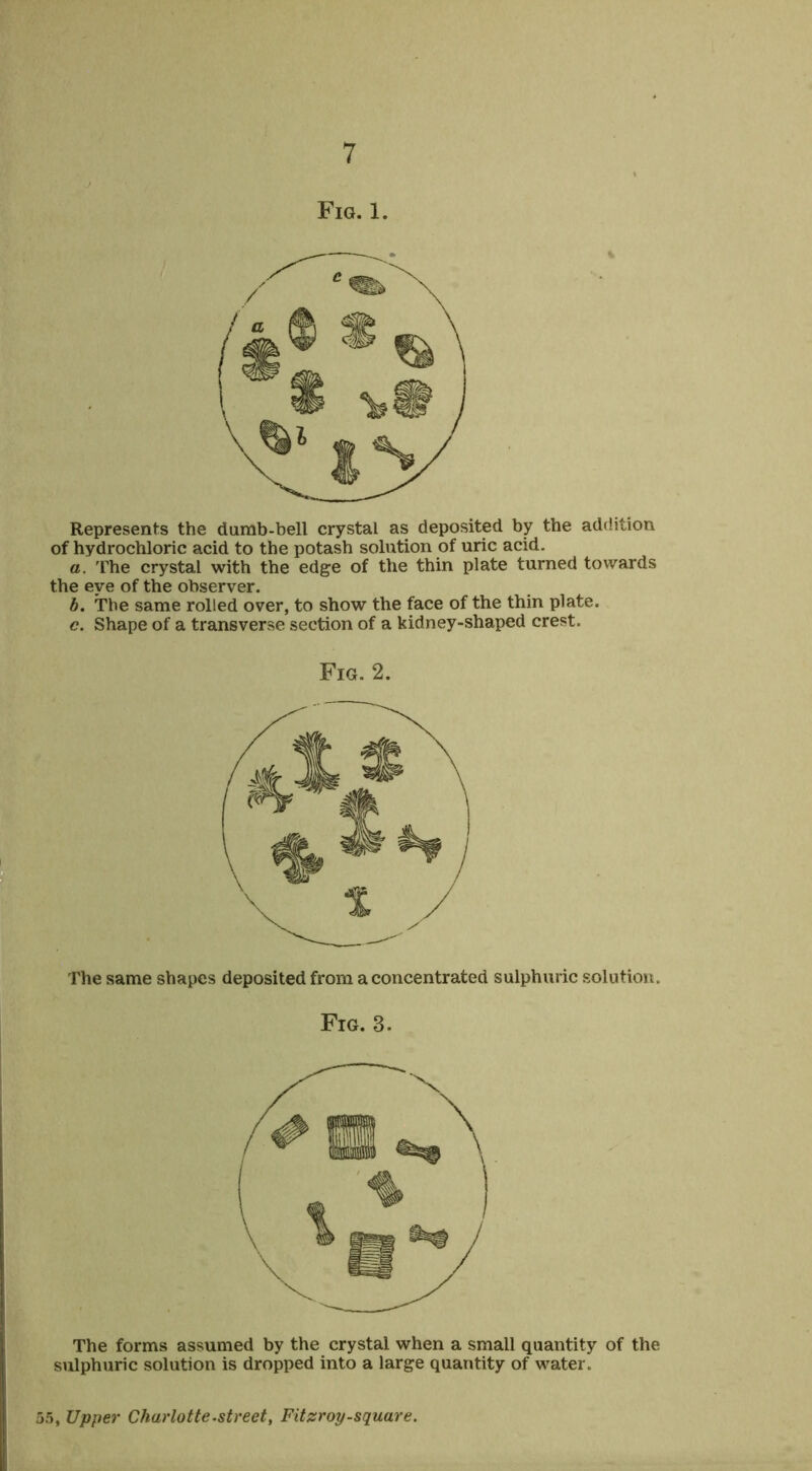 Fig. 1. Represents the dumb-bell crystal as deposited by the addition of hydrochloric acid to the potash solution of uric acid. a. The crystal with the edge of the thin plate turned towards the eye of the observer. h. The same rolled over, to show the face of the thin plate. c. Shape of a transverse section of a kidney-shaped crest. Fig. 2. The same shapes deposited from a concentrated sulphuric solution. Fig. 3. The forms assumed by the crystal when a small quantity of the sulphuric solution is dropped into a large quantity of water. 55, Upper Charlotte.street, Fitzroy-square.