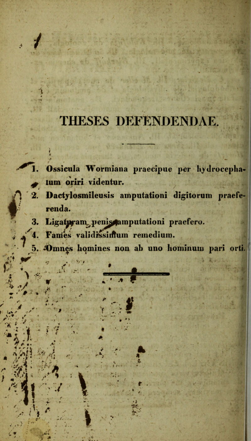 i THESES DEFENDENDAE. I. Ossicula Wormiaiia praecipue per Iiydrocepha* ^ lum oriri videntur. £\ 2. Dactjlosmileusis amputationi digitorum praefe- A' renda. > 3. Ligat^*anv^peni^^mputationi praefero. ^ Fames validrssiiftum remedium. ' y ' 5. 4>mn<|s hqmines non ab uno hominum pari orti. m.*' 4;* . VV/ C l ' I » !-/ ♦ ^ A ^ ■ ^ ' •'*' ' • ■ riry. / •'A *. \ k: I •:v « . ViS'' «r