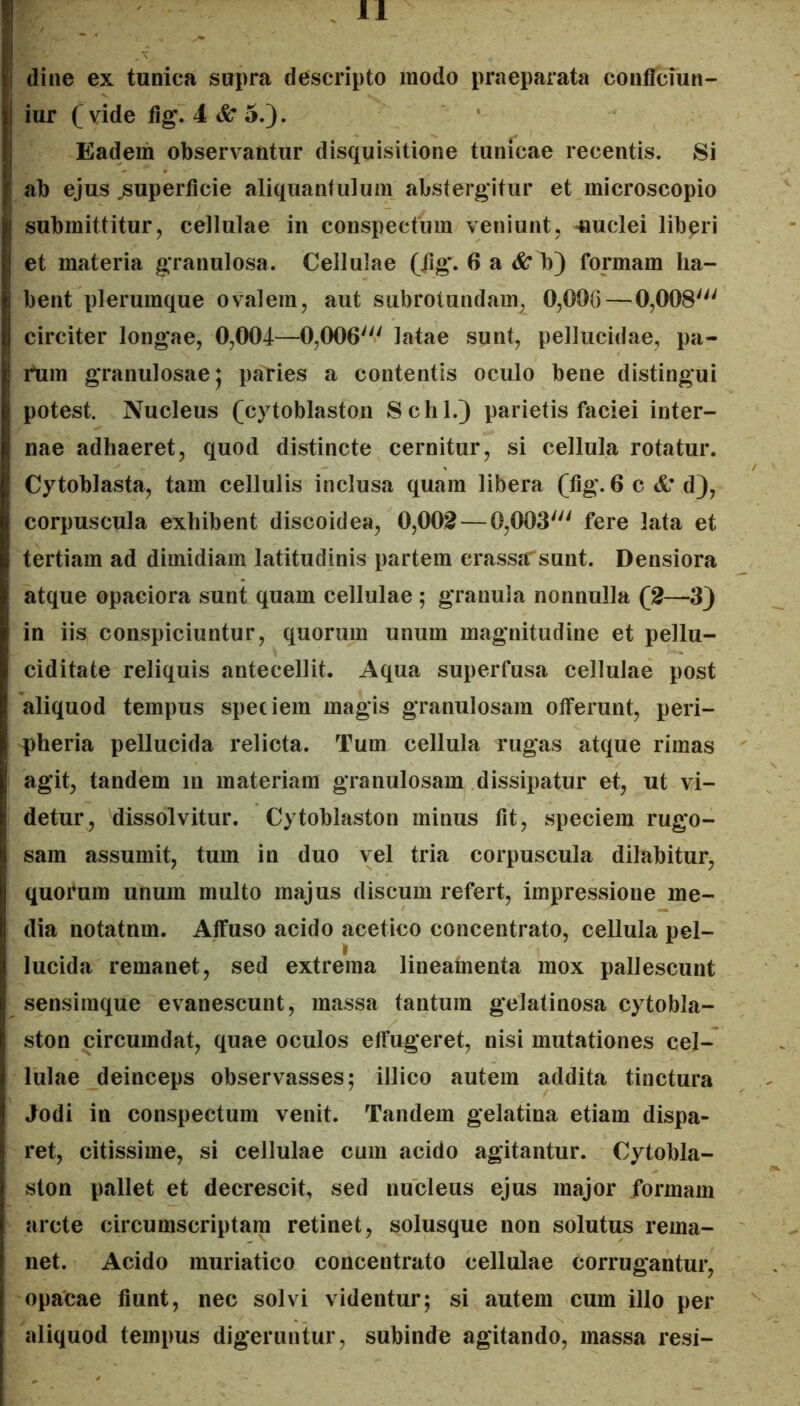 (line ex tunica supra descripto modo praeparata conficmn- iur (vide fig. 4 cS; 5.)* Eadem observantur disquisitione tunicae recentis. Si ab ejus jsuperficie aliquantulum abstergitur et microscopio submittitur, cellulae in conspectum veniunt, 'Huclei libari et materia granulosa. Cellulae (fig*. 6 a <&r b) formam ha- bent plerumque ovalem, aut subrotundam, 0,000—0,008' circiter longae, 0,004—0,006' latae sunt, pellucidae, pa- rlim granulosae 5 paries a contentis oculo bene distingui potest. Nucleus (cytoblaston Schl.) parietis faciei inter- nae adhaeret, quod distincte cernitur, si cellula rotatur. Cytoblasta, tam cellulis inclusa quam libera (tig. 6c&’d), corpuscula exhibent discoidea, 0,002 — 0,003' fere lata et tertiam ad dimidiam latitudinis partem crassarsunt. Densiora atque opaciora sunt quam cellulae ; granula nonnulla (2—3) in iis conspiciuntur, quorum unum magnitudine et pellu- ciditate reliquis antecellit. Aqua superfusa cellulae post aliquod tempus speciem magis granulosam otferunt, peri- i)heria pellucida relicta. Tum cellula rugas atque rimas agit, tandem m materiam granulosam dissipatur et, ut vi- detur, dissolvitur. Cytoblaston minus tit, speciem rugo- sam assumit, tum in duo vel tria corpuscula dilabitur, quorum unum multo majus discum refert, impressione me- dia notatnm. Atfuso acido acetico concentrato, cellula pel- lucida remanet, sed extrema lineamenta mox pallescunt sensimque evanescunt, massa tantum gelatinosa cytobla- ston circumdat, quae oculos elFugeret, nisi mutationes cel- lulae deinceps observasses; illico autem addita tinctura Jodi in conspectum venit. Tandem gelatina etiam dispa- ret, citissime, si cellulae cum acido agitantur. Cytobla- ston pallet et decrescit, sed nucleus ejus major formam arcte circumscriptam retinet, solusque non solutus rema- net. Acido muriatico concentrato cellulae corrugantur, opacae fiunt, nec solvi videntur; si autem cum illo per aliquod tempus digeruntur, subinde agitando, massa resi-