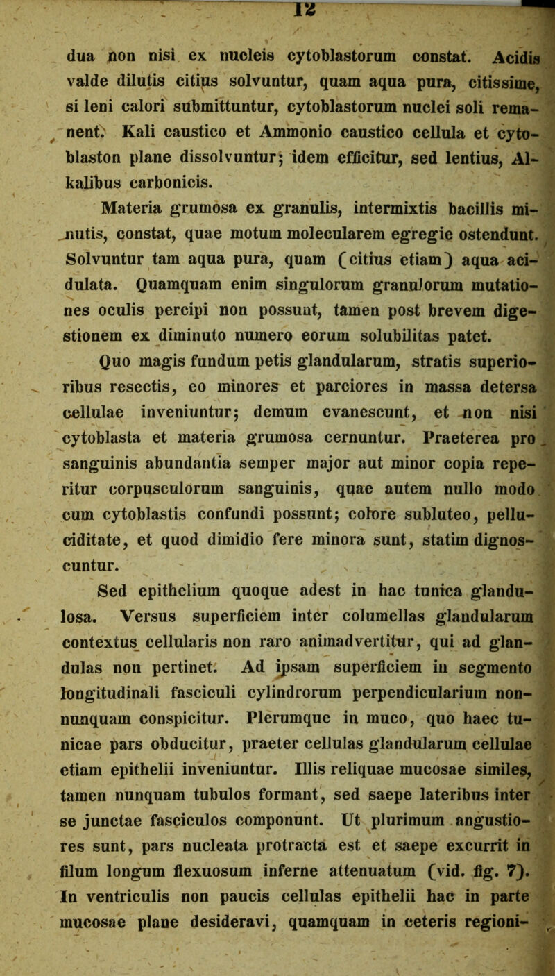 Tff dua non nisi ex nucleis cytoblastorum constat. Acidis valde dilutis citips solvuntur, quam aqua pura, citissime, si leni calori submittuntur, cytoblastorum nuclei soli rema- nenti Kali caustico et Ammonio caustico cellula et cyto- blaston plane dissolvuntur; idem efficitur, sed lentius, Al- kalibus carbonicis. Materia grumosa ex granulis, intermixtis bacillis mi- jiutis, constat, quae motum molecularem egregie ostendunt. Solvuntur tam aqua pura, quam (citius etiam) aqua aci- dulata. Quamquam enim singulorum granulorum mutatio- nes oculis percipi non possunt, tamen post brevem dige- stionem ex diminuto numero eorum solubilitas patet. Quo magis fundum petis glandularum, stratis superio- ribus resectis, eo minores et parciores in massa detersa cellulae inveniuntur; demum evanescunt, et non nisi cytoblasta et materia grumosa cernuntur. Praeterea pro sanguinis abundantia semper major aut minor copia repe- ritur corpusculorum sanguinis, qqae autem nullo modo cum cytoblastis confundi possunt; colore subluteo, pellu- ciditate, et quod dimidio fere minora sunt, statim dignos- cuntur. Sed epithelium quoque adest in hac tunica glandu- losa. Versus superficiem inter columellas glandularum contextus^ cellularis non raro animadvertitur, qui ad glan- dulas non pertinet. Ad ^sam superficiem iii segmento longitudinali fasciculi cylindrorum perpendicularium non- nunquam conspicitur. Plerumque in muco, quo haec tu- nicae pars obducitur, praeter cellulas glandularum cellulae etiam epithelii inveniuntur. Illis reliquae mucosae similes, tamen nunquam tubulos formant, sed saepe lateribus inter sejunctae fasciculos componunt. Ut plurimum angustio- res sunt, pars nucleata protracta est et saepe excurrit in filum longum flexuosum inferne attenuatum (vid. flg. 7). In ventriculis non paucis cellulas epithelii hac in parte mucosae plane desideravi, quamquam in ceteris regioni-