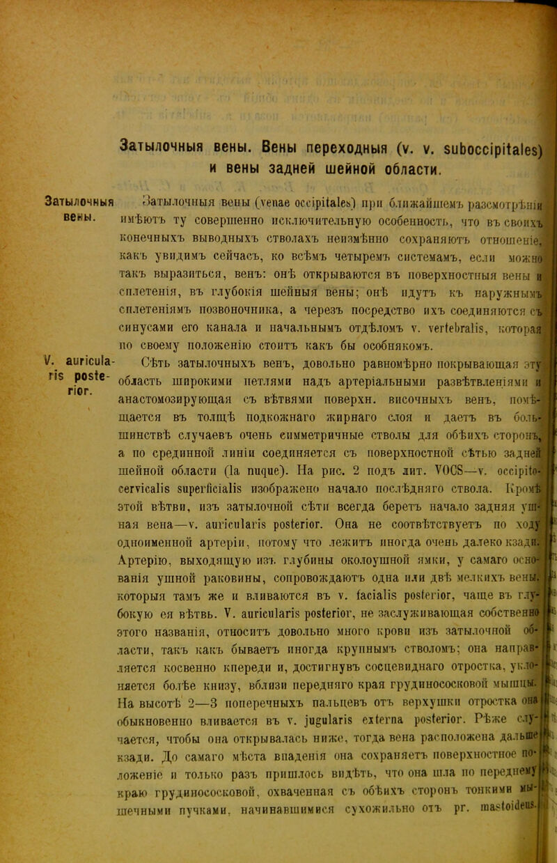 Затылочныя вены. Вены переходныя (ѵ. ѵ. зиЬоссірііаІез) н вены задней шейной области. гі$ ро$іе гіог. Затылочныя Затылочныя воны (ѵепае оссірНаІеь) п))іі ближайшемъ разсмотрѣніи ве«ы. имѣютъ ту совершенно исключительную особенность, что въ своихъ конечныхъ выводныхъ стволахъ неизмѣнно сохраняютъ отношеніе, какъ увидимъ сейчасъ, ко всѣмъ четыремъ системамъ, если можно такъ выразиться, венъ: онѣ открываются въ поверхностныя вены и сплетенія, въ глубокія шейныя вены; онѣ идутъ къ наружнымъ сплетеніямъ позвоночника, а черезъ посредство ихъ соединяются съ синусами его канала и начальнымъ отдѣломъ ѵ. ѵегіеЬгаІіз, которая по своему положенію стоитъ какъ бы особнякомъ. V. аигісиіа- Сѣть затылочныхъ венъ, довольно равномѣрно покрывающая эту область широкими петлями надъ артеріальными развѣтвленіями и анастомозирующая съ вѣтвями поверхн. височныхъ венъ, помѣ- щается въ толщѣ подкожнаго жирнаго слоя и даетъ въ боль- шинствѣ случаевъ очень симметричные стволы для обѣихъ сторонъ, а по срединной линіи соединяется съ поверхностной сѣтью задней шейной области (Іа пшще). На рис. 2 подъ лит. Ѵ0С8—ѵ. оссірйо- сегѵісаіів зирегіісіаііз изображено начало послѣдняго ствола. Кромѣ этой вѣтви, изъ затылочной сѣти всегда беретъ начало задняя уш- ная вена—ѵ. аіпісніагіз розіегіог. Она не соотвѣтствуетъ по ходу одноименной артеріи, потому что лежитъ иногда очень далеко кзади. Артерію, выходящую изъ глубины околоушной ямки, у самаго осно- ванія ушной раковины, сопровождаютъ одна или двѣ мелкихъ вены, которыя тамъ же и вливаются въ ѵ. іасіаііз розіегіог, чаще въ глу- бокую ея вѣтвь. V. аипсиіагіз розіегіог, не заслуживающая собственно этого названія, относитъ довольно много крови изъ затылочной об- ласти, такъ какъ бываетъ иногда крупнымъ стволомъ; она направ- ляется косвенно кпереди и, достигнувъ сосцевиднаго отростка, укло- няется болѣе книзу, вблизи передняго края грудинососковой мышцы. На высотѣ 2—3 поперечныхъ пальцевъ отъ верхушки отростка она обыкновенно вливается въ ѵ. іи^иіагіз ехіегпа розКгіог. Рѣже слу- чается, чтобы она открывалась ниже, тогда вена расположена дальше кзади. До самаго мѣста впаденія она сохраняетъ поверхностное по- ложеніе и только разъ пришлось видѣть, что она шла по переднему краю грудинососковой, охваченная съ обѣихъ сторонъ тонкими мы- начинавшимиея сухожильно отъ рг. тазіокіеиз. ;■ И шечными пучками. і