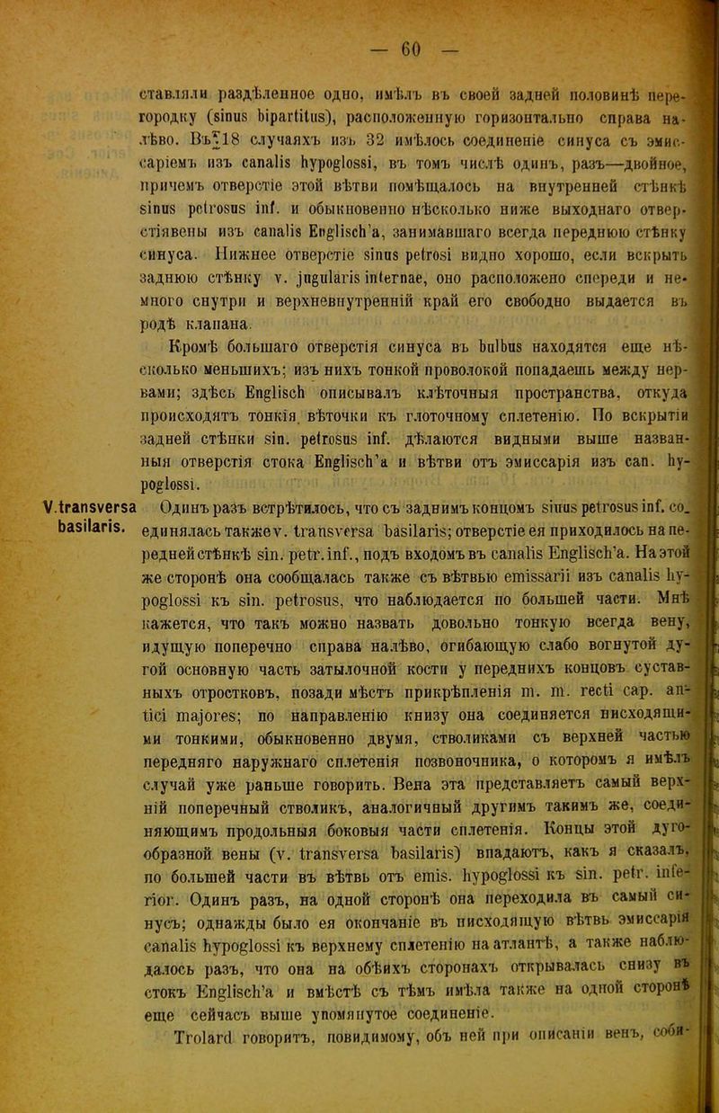 ставляли раздѣленное одно, имѣлъ въ своей задней половинѣ пере- городку (біпиз Ъірагіііиз), расположенную горизонтально справа на- лѣво. Въ^18 случаяхъ изъ 32 имѣлось соединеніе синуса съ эмис- сарамъ изъ сапаііз йуро^Іозві, въ томъ числѣ одинъ, разъ—двойное, причемъ отверстіе этой вѣтви помѣщалось на внутренней стѣнкѣ 8Іпіі8 рс(го8Н8 іпѣ и обыкновенно нѣсколько ниже выходнаго отвер. стіявены изъ сапаііз Еп^ПзсН’а, занимавшаго всегда переднюю стѣнку синуса. Нижнее отверстіе зіпиз реігозі видно хорошо, если вскрыть заднюю стѣнку ѵ. ріріаш іпіегпае, оно расположено спереди и не- много снутри и верхневнутренній край его свободно выдается въ родѣ клапана. Кромѣ большаго отверстія синуса въ ЬиІЬпз находятся еще нѣ- сколько меньшихъ; изъ нихъ тонкой проволокой попадаешь между нер- вами; здѣсь Еп^ІізсЬ описывалъ клѣточныя пространства, откуда происходятъ тонкія, вѣточки къ глоточному сплетенію. По вскрытіи задней стѣнки зіп. реігозиз іпГ. дѣлаются видными выше назван- ныя отверстія стока Еп^Іізсѣ’а и вѣтви отъ эмиссарія изъ сап. Ііу- р0^І0881. Ѵ.ігапзѵегза Одинъ разъ встрѣтилось, что съ заднимъ концомъ зіпиз реігозиз іпГ. со. Ьазііагіз. едннялась такжеѵ. Ігапзѵсгза Ъазііагіз; отверстіе ея приходилось на пе- редней стѣнкѣ зіп. реІг.іпГ., подъ входомъ въ сапаііз Еп^Пзсѣ’а. На этой же сторонѣ она сообщалась также съ вѣтвью етіззагіі изъ сапаііз Ііу- ро§1оззі къ зіп. реігозиз, что наблюдается по большей части. Мнѣ кажется, что такъ можно назвать довольно тонкую всегда вену, идущую поперечно справа налѣво, огибающую слабо вогнутой ду- гой основную часть затылочной кости у переднихъ концовъ сустав- ныхъ отростковъ, позади мѣстъ прикрѣпленія ш. т. гесіі сар. ап- Іісі та^огез; по направленію книзу она соединяется нисходящи- ми тонкими, обыкновенно двумя, стволиками съ верхней частью передняго наружнаго сплетенія позвоночника, о которомъ я имѣлъ случай уже раньше говорить. Вена эта представляетъ самый верх- ній поперечный стволикъ, аналогичный другимъ такимъ же, соеди- няющимъ продольныя боковыя части сплетенія. Концы этой дуго- образной вены (ѵ. ігапзѵегза Ъазііагіз) впадаютъ, какъ я сказалъ, по большей части въ вѣтвь отъ ешіз. Ьуро^іоззі къ зіп. реіг. іпГе- гіог. Одинъ разъ, на одной сторонѣ она переходила въ самый си- нусъ; однажды было ея окончаніе въ нисходящую вѣтвь эмиссарія сапаііз Ьуро^іоззі къ верхнему сплетенію на атлантѣ, а также наблю- далось разъ, что она на обѣихъ сторонахъ открывалась снизу въ стокъ Еп^ІізсЬ’а и вмѣстѣ съ тѣмъ имѣла также на одной сторонѣ еще сейчасъ выше упомянутое соединеніе. Тгоіапі говоритъ, повидимому, объ ней при описаніи венъ, еоби-