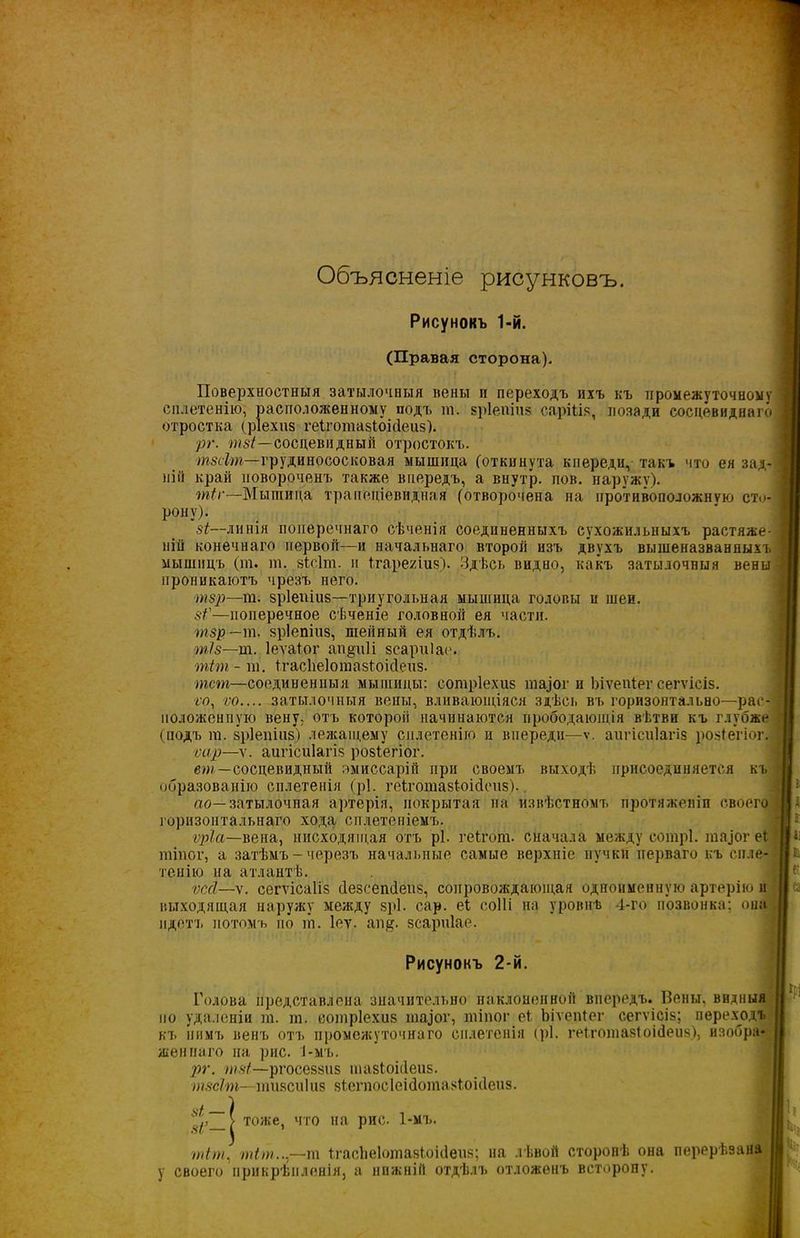 Объясненіе рисунковъ. Рисунокъ 1-й. (Правая сторона). Поверхностныя затылочныя вены и переходъ ихъ къ промежуточному сплетенію, расположенному подъ т. зріепіпз сарііія, позади сосцевиднаго отростка (ріехпз геіготазіоісіеиз). рг. тзі—сосцевидный отростокъ. тзсіт—грудинососковая мышпца (откинута кпереди, такъ что ея зад- ііііі край повороченъ также впередъ, а внут’р. пов. наружу). т(г—Мышица трапеціевидная (отворочена на противоположную сто- рону). 8і—линія поперечнаго сѣченія соединенныхъ сухожильныхъ растяже- ній конечнаго первой—и начальнаго второй изъ двухъ вышеназванныхъ мышицъ (т. т. зісіт. и (гарехіиз). Здѣсь видно, какъ затылочныя вены проникаютъ чрезъ него. тзр—т. зріепіиз—триугольная мышица головы и шеи. 8('—поперечное сѣченіе головной ея части. тзр —т. зріепіиз, шейный ея отдѣлъ. т/5—т. Іеѵаіог ап§и1і зсарпіае. тіт - ш. ігасііеіотазіоісіеиз. тст—соединенныя мыишцы: сотріехиз та,)Ог н Ьіѵеиіег сегѵісіз. ѵо, ѵо.... затылочныя вены, вливающіяся здѣсі. въ горизонтально—рас- положенную вену, отъ которой начинаются прободающія вѣтви къ глубже (подъ т. зріепіиз) лежащему сплетенію п впереди—ѵ. аигіеиіагіз розіегіог. ѵар—х. аигіеиіагіз розіегіог. вт—сосцевидный амиссарій при своемъ выходѣ присоединяется къ образованію сплетенія (рі. геіготаз(оісіеиз). ао— затылочная артерія, покрытая па извѣстномъ протяженіи своего горизонтальнаго хода сплетеніемъ. ѵріа—вена, нисходящая отъ рі. геігот. сначала между сотрі. та]ог е( тіпог, а затѣмъ-черезъ начальные самые верхніе пучки перваго къ спле- тенію на атлантѣ. ѵссі—ѵ. сегѵісаііз сіезеешіепз, сопровождающая одноименную артерію и выходящая наружу между «рі. сар. еі соііі на уровнѣ 4-го позвонка; она идетъ потомъ по іп. Іеѵ. ап§. зсарпіае. Рисунокъ 2-й. I Голова представлена значительно наклоненной впередъ. Вены, видныя по удаленіи т. т. сотріехиз іпа)ог, тіпог еѣ Ьіѵепіег сегѵісіз; переходъ къ нимъ венъ отъ промежуточнаго сплетенія (рі. геіготазіоісіеиз), изобра- женнаго на рис. 1-мъ. рг. тзі—ргосеззиз шазіоіеіеиз. тзсіт—тизсиіиз зіегпосіеісіотазіоніеиз. | тоже, что на рис. 1-мъ. I т/т, тіт...—т ІгасЪеІотазІоісІеиз; на лѣвой сторонѣ она перерѣзана у своего прикрѣпленія, а нижній отдѣлъ отложенъ всторопу.