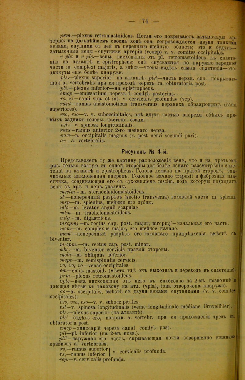 ргт.—ріехиз гекготазіоібеиэ. Петли его покрываютъ затылочную ар- терію; па дальнѣйшемъ своемъ ходѣ она сопровождается двумя тонкими венами, идущими съ ней въ переднюю шейную область; ото и будутъ— затылочныя вены-спутники артеріи (ѵсоср) ѵ. ѵ. согаііез оссірііаіез.' ѵ Ріа и ѵ ріс.—вены, нисходящія отъ рі. геІгошавГоібеиз къ сплете- \ сію па атлантѣ и ерізігорііеиз; онѣ спускаются по наружно передней части ш. сотріехі тарпз, а здѣсь—чтобы видѣть самыя сплетенія—ото- двинуты еще болѣе кнаружи. рІ8. ріехиз зирегіог—на атлантѣ, різ'—часть верхн. сил. покрываю ' щая а. ѵегіеЬгаІіз при ея проходѣ черезъ т. оЬіигаіогіа розѣ ріі.—ріехиз іпГегіог—на ерізігорііеиз. етср — етіззагіит черезъ Г. сопсіуі. розіегіиз. гз, гг—гаті зир. еі іпѣ ѵ. сегѵісаііз ргоГишіае (ѵср). гапі—гатиз апазГотоіісиз Ггатѵегзиз верхнихъ образующихъ (гат зирегіогез). ѵзо, ѵзо—ѵ. у. зиѣоссірііаіез, онѣ идутъ частью впереди обѣихъ пря мыхъ заднихъ головы, частью—сзади. ѵзі.—ѵ. зріпоза Іоп^ііибіпаііз. ѵс(’СЗ —гатиз апіегіог 2-го шейнаго нерва. ѵот—п. оссірііаііз та§пиз (г. розі пегѵі зесипбі рагі). аѵ - а. ѵегГеЬгаІіз. Представляетъ ту же картину расположенія венъ, что и на третьем' рис. только взятую съ одной стороны для болѣе яснаго разсмотрѣнія спле теній на атлантѣ и ерізігорііеиз. Голова лежала на правой сторонѣ, зна чительно наклоненная впередъ. Головное начало Ггарегіі и фиброзная пла стинка, соединяющая его съ сухожиліемъ тзсіш. подъ которую подходяг вены съ арт. и нерв, удалены. тзсіт - ш. зГегпосІеіботазГоісІеиз. 8і’—поперечный разрѣзъ (зесГіо Ігапзѵегза) головной части т. зріепіі тзр—т. зріепіиз, шейные его зубцы. тіз—т. Іеѵаіог ап»и1і зсариіае. тіт—т. ГгасІіеІотазГоісІеиз. тйд — т. бі^азГгісиз. тгср'ьщ — т. гесГиз сар. розѣ тазог; тгсрт)’ —начальная его часть. тспг—т. сотріехиз та]ог, его шейное начало. тст—поперечный разрѣзъ его головнаго прикрѣпленія вмѣстѣ сі ЬіѵепГег. тгсрт.—т. гесіиз сар. розѣ, тіпог. тЪс.—т. Ьіѵепіег сегѵісіз правой стороны. тоЫ—т. оЫіцииз іпГегіог. тзрс—т. зетізріпаііз сегѵісіз. ѵо, ѵо, ѵо—ѵепае оссіріѣаіез. ет—етіз. тпазіоіб. (мѣсто гдѣ онъ выходилъ и переходъ въ сплетеніе) ргт—ріехиз геГгошазіоісІеиз. 1>р7е-вена нисходящая отъ него къ сплетенію на 2-мъ позвонкѣ і дающая вѣтви къ таковому на атл. (ѵріа), (она отворочена кнаружи). оо—а. оссіріѣаііз, вмѣстѣ съ двумя венами спутниками (у. ѵ. сошіГе! оссіріѣаіез). ѵзо, ѵзо, ѵзо—ѵ. ѵ. зиѣоссіріѣаіез. I ѵзі —ѵ. зріпоза Іопдііибіпаііз (ѵеіпе 1оп§: ѣибіпаіе тёбіапе СгиѵеіШіег).| різ.—ріехиз зирегіог (па атлантѣ). різ—отдѣлъ его, покрыв, а. ѵегіеЬг. при ея прохожденіи чрезъ ш. Рисунокъ № 4-й. оЫигаГогіа розѣ стер— эмиссарій черезъ сапаі. сопбуѣ розѣ | ріі—рі. іпГегіог (на 2-мъ позв.). ріі'— наружная его часть, скрывающая почти совершенно нижнюю кривизну а. ѵеіѣеЬгаІіз. ѵз,—гатиз зирегіогI гз,—гатиз іпГегіог | ѵ‘ се ѵср.—ѵ. сегѵісаііз ргоГипба.