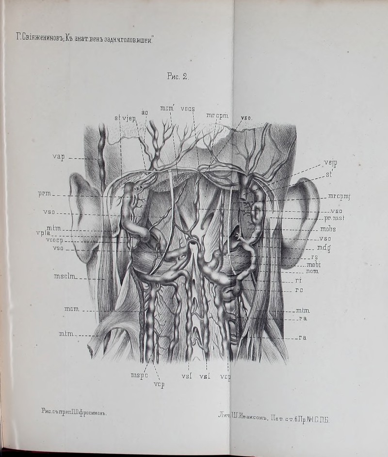 Г. Свіяженинов'ЬіКъ анат.векъ заднчтолов-ишеи’ Рис. 2 Рис.сьпрвиЦОфросимовъ. ЛѵпІІІГ.Иваксонъ, ІТет ст.бЛрМЕЖ