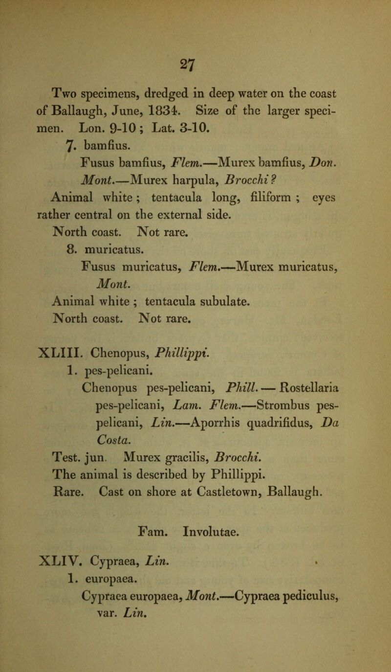 Two specimens, dredged in deep water on the coast of Ballaugh, June, 1834. Size of the larger speci- men. Lon. 9-10 ; Lat. 3-10. 7. bamfius. Fusus bamfius, Flem,—Murex bamfius, Don, Mont,—Murex harpula, Brocchi? Animal white; tentacula long, filiform ; eyes rather central on the external side. North coast. Not rare. 8. muricatus. Fusus muricatus, Flem,—Murex muricatus, Mont, Animal white ; tentacula subulate. North coast. Not rare. XLIII. Chenopus, Phillippt, 1. pes-pelicani. Chenopus pes-pelicani, Phill, — Rostellaria pes-pelicani, Lam, Flem,—Strombus pes- pelicani, Ziw.—Aporrhis quadrifidus. Da Costa, Test. jun. Murex gracilis, Brocchi, The animal is described by Phillippi. Rare. Cast on shore at Castletown, Ballaugh. Fam. Involutae. XLIV. Cypraea, Lin, 1. europaea. Cypraea europaea, Mont,—Cypraea pediculus, var. Lin.