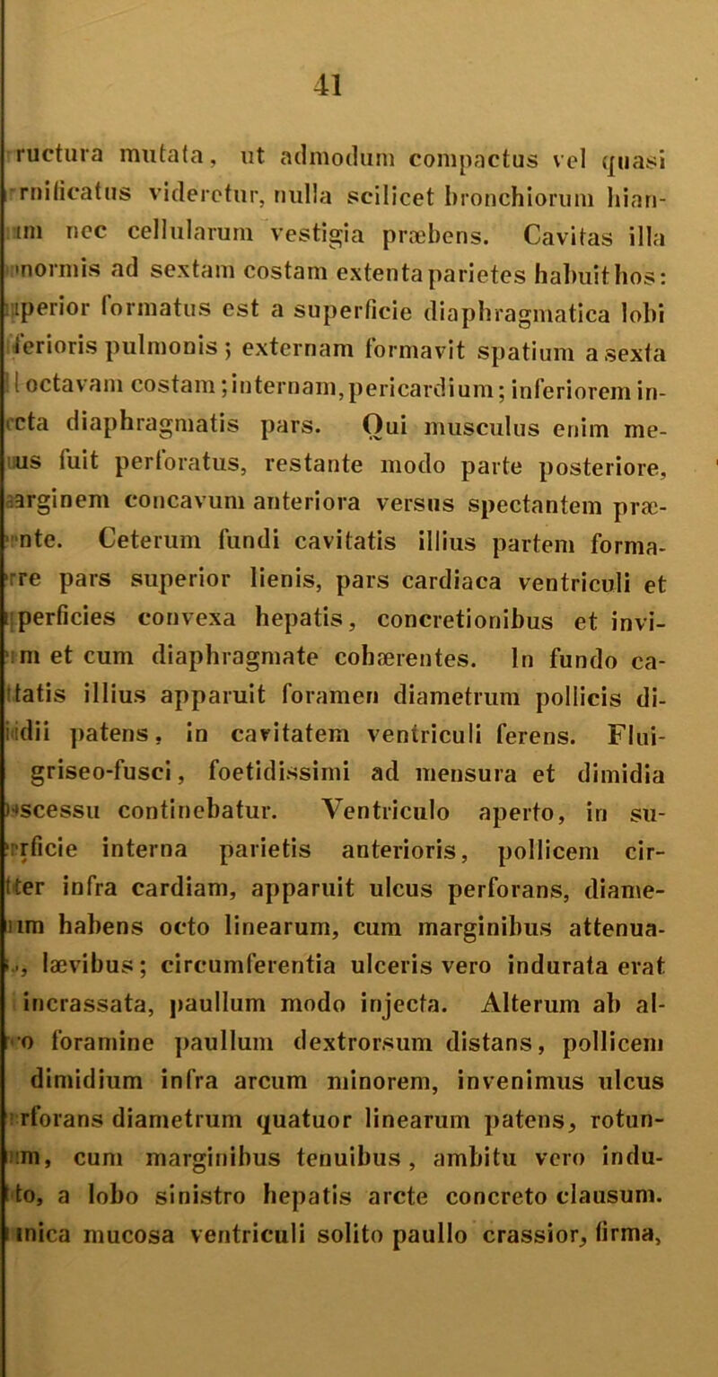 ructura mutata, ut admodum compactus vel quasi rnilicatus videretur, nulla scilicet bronchiorum liian- im nec cellularum vestigia praebens. Cavitas illa ■normis ad sextam costam extenta parietes habuit hos: niperior formatus est a superficie diaphragmatica lobi ferioris pulmonis ; externam formavit spatium a sexta I i octavam costam; internam, pericardium; inferiorem in- icta diaphragmatis pars. Oui musculus enim me- us fuit perforatus, restante modo parte posteriore, .arginem concavum anteriora versus spectantem prac- ' nte. Ceterum fundi cavitatis illius partem forma- le pars superior lienis, pars cardiaca ventriculi et i perficies convexa hepatis, concretionibus et invi- m et cum diaphragmate cohaerentes. In fundo ca- 'tatis illius apparuit foramen diametrum pollicis di- iidii patens, in cavitatem ventriculi ferens. Flui- griseo-fusci, foetidissimi ad mensura et dimidia wscessu continebatur. Ventriculo aperto, in su- ‘:rficie interna parietis anterioris, pollicem cir- tter infra cardiam, apparuit ulcus perforans, diame- um habens octo linearum, cum marginibus attenua- laevibus; circumferentia ulceris vero indurata erat incrassata, paullum modo injecta. Alterum ab al- o foramine jiaullum dextrorsum distans, pollicem dimidium infra arcum minorem, invenimus ulcus rforans diametrum quatuor linearum patens, rotun- ni, cum marginibus tenuibus, ambitu vero indu- ito, a lobo sinistro hepatis arcte concreto clausum, i inica mucosa ventriculi solito paullo crassior, firma,