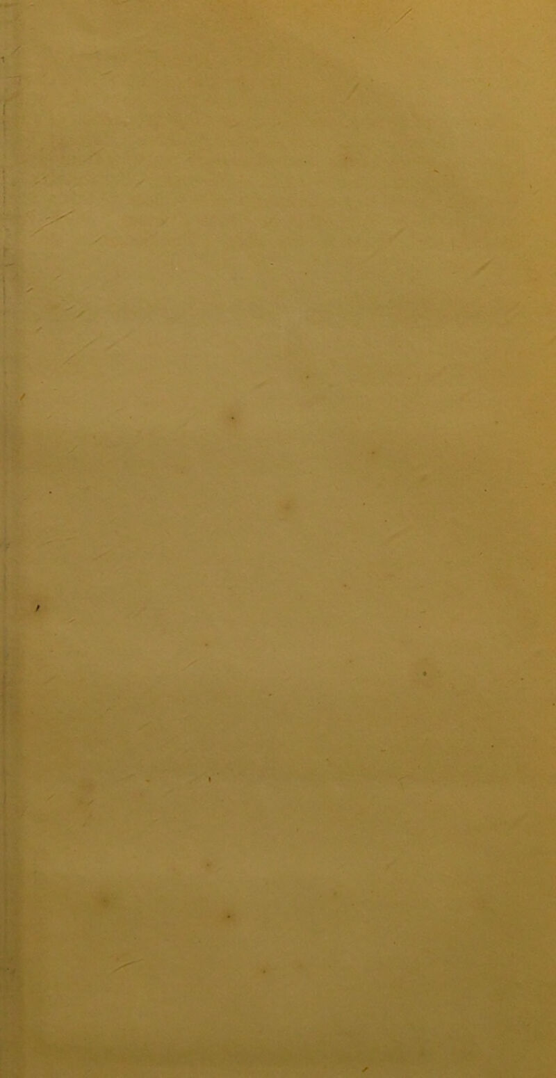 .-i'. ■ • >.'■ ' K t- • -,* f ' i ♦ / - • • Vv p//' ■ - s - .