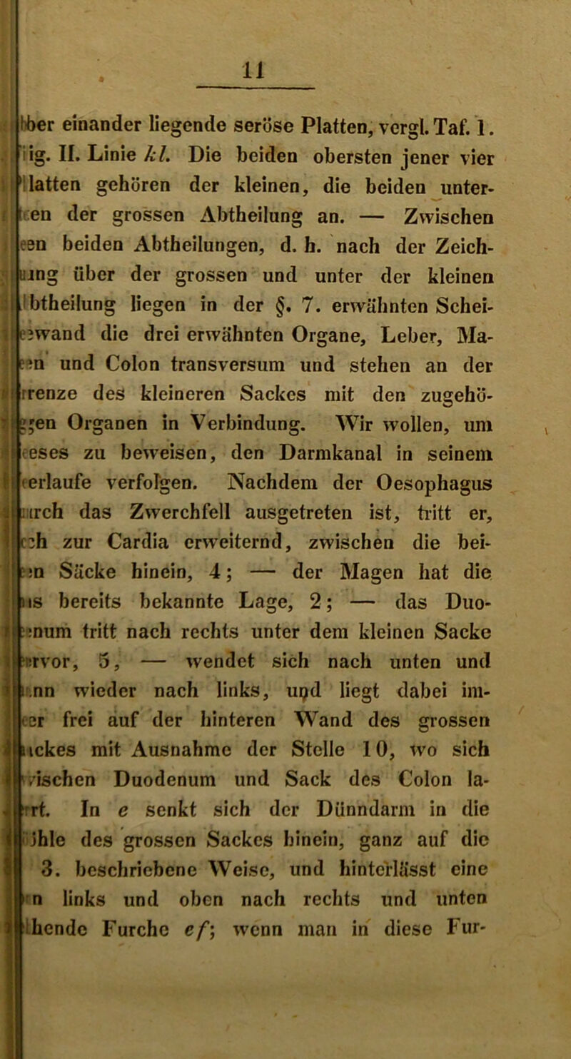 Iber einander liegende seröse Platten, vergl. Taf. 1. ig. II. Linie kl. Die beiden obersten jener vier latten gehören der kleinen, die beiden unter- en der grossen Abtheilung an. — Zwischen een beiden Abtheilungen, d. h. nach der Zeich- nung über der grossen und unter der kleinen btheilung liegen in der §. 7. erwähnten Schei- ewand die drei erwähnten Organe, Leber, Ma- em und Colon transversum und stehen an der rrenze des kleineren Sackes mit den zusrehö- ;en Organen in Verbindung. Wir wollen, um eses zu beweisen, den Darmkanal in seinem ^erlaufe verfolgen. Nachdem der Oesophagus urch das Zwerchfell ausgetreten ist, tritt er, :h zur Cardia erweiternd, zwischen die bei- :n Säcke hinein, 4; — der Magen hat die ts bereits bekannte Lage, 2; — das Duo- :num tritt nach rechts unter dem kleinen Sacke urvor, 5, — wendet sich nach unten und nn wieder nach links, uqd liegt dabei im- er frei auf der hinteren Wand des grossen ickes mit Ausnahme der Stelle 10, Ivo sich ,-ischen Duodenum und Sack des Colon la- Irrt. In e senkt sich der Dünndarm in die Jhle des grossen Sackes hinein, ganz auf die 3. beschriebene Weise, und hintcrlässt eine n links und oben nach rechts und unten hendc Furche ef\ wrenn man in diese Für-