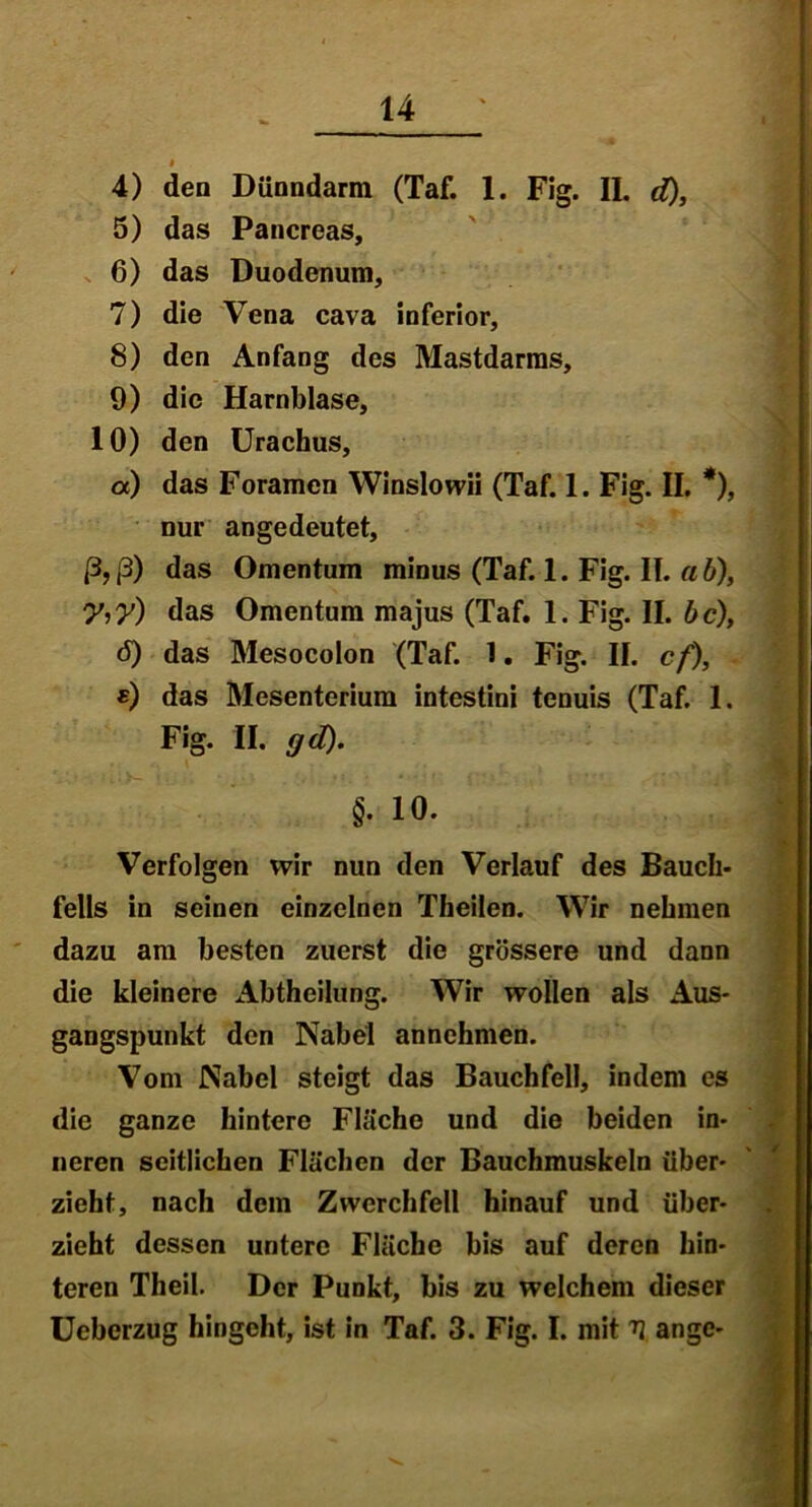 4) den Dünndarm (Taf. 1. Fig. II. d), 5) das Pancreas, 6) das Duodenum, 7) die Vena cava inferior, 8) den Anfang des Mastdarms, 9) die Harnblase, 10) den Urachus, а) das Foramen Winslowii (Taf. 1. Fig. II. *), nur an ge deutet, ß,ß) das Omentum minus (Taf. 1. Fig. II. ab), y,y) das Omentum majus (Taf. 1. Fig. II. bc), б) das Mesocolon (Taf. 1. Fig. II. cf), *) das Mesenterium intestini tenuis (Taf. 1. Fig. II. gd). §. io. Verfolgen wir nun den Verlauf des Bauch- fells in seinen einzelnen Theilen. Wir nehmen dazu am besten zuerst die grössere und dann die kleinere Abtheilung. Wir wollen als Aus- gangspunkt den Nabel an nehmen. Vom Nabel steigt das Bauchfell, indem es die ganze hintere Fläche und die beiden in- neren seitlichen Flächen der Bauchmuskeln über- zieht, nach dem Zwerchfell hinauf und über- zieht dessen untere Fläche bis auf deren hin- teren Theil. Der Punkt, bis zu welchem dieser Ueberzug hingcht, ist in Taf. 3. Fig. I. mit V ange-