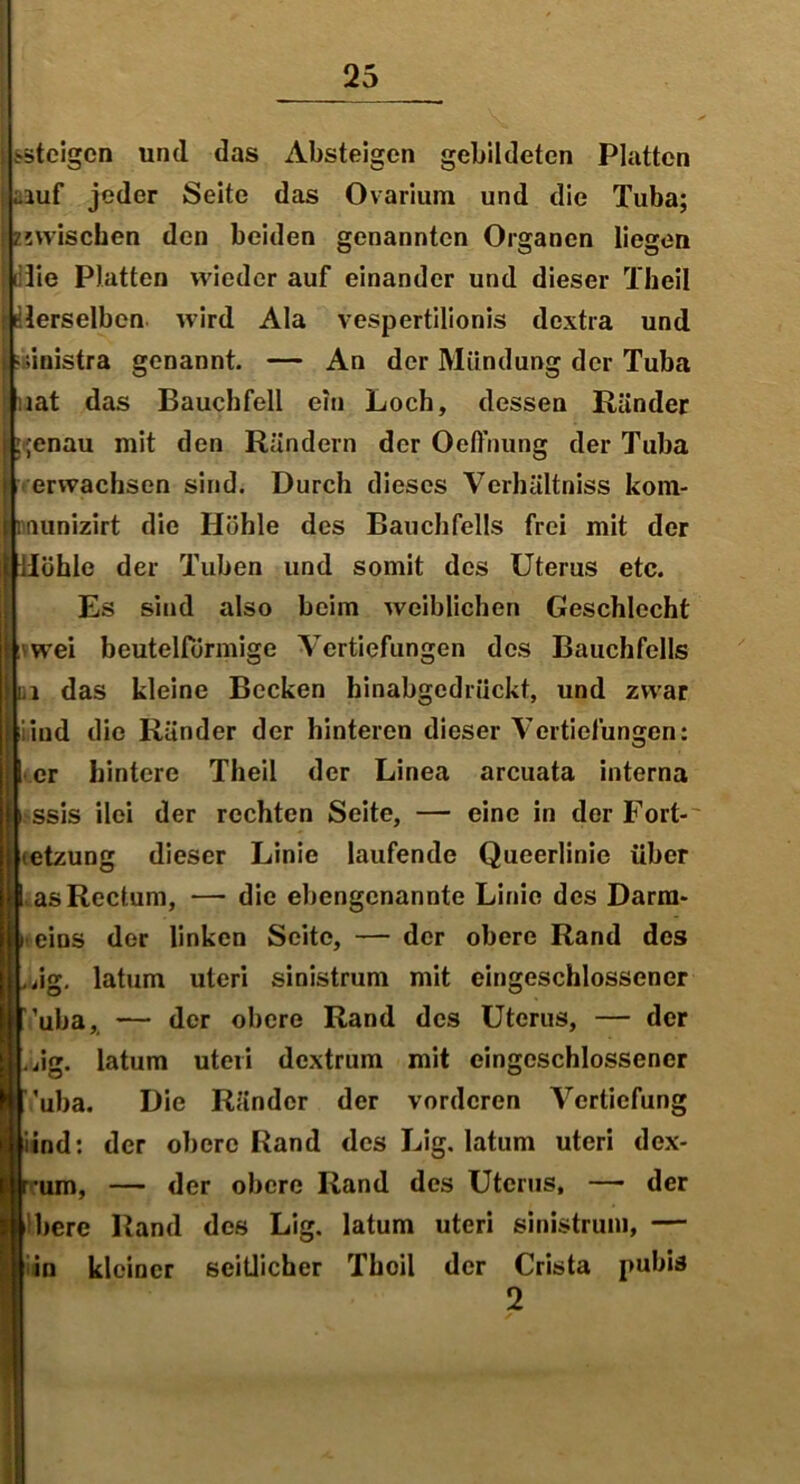 fsteigon und das Absteigen gebildeten Platten aiuf jeder Seite das Ovarium und die Tuba; zwischen den beiden genannten Organen liegen (die Platten wieder auf einander und dieser Theil (derselben wird Ala vespertilionis dextra und ■dnistra genannt. — An der Mündung der Tuba lat das Bauchfell ein Loch, dessen Ränder ;enau mit den Rändern der Oeffnung der Tuba erwachsen sind. Durch dieses Verhältniss kom- nnunizirt die Höhle des Bauchfells frei mit der iJöhle der Tuben und somit des Uterus etc. Es sind also beim weiblichen Geschlecht rwei beutelformige Vertiefungen des Bauchfells n das kleine Becken hinabgedrückt, und zwar iud die Ränder der hinteren dieser Vertiefungen: er hintere Theil der Linea arcuata interna ssis ilci der rechten Seite, — eine in der Fort- etzung dieser Linie laufende Queerlinie über asRectum, — die ebengenannte Linie des Darm* |i eins der linken Seite, — der obere Rand des dg. latum uteri sinistrum mit eingeschlossener ’uba, — der obere Rand des Uterus, — der ig. latum uteri dextrum mit eingeschlossencr ’uba. Die Ränder der vorderen Vertiefung iind: der obere Rand des Lig. latum uteri dex- um, — der obere Rand des Uterus, — der berc Rand des Lig. latum uteri sinistrum, — in kleiner seitlicher Theil der Crista pubis 2