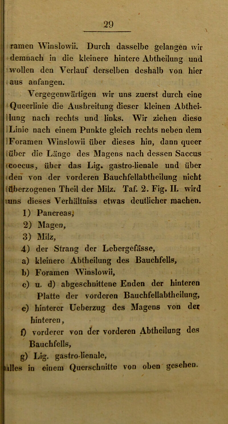 ramen Winslowii. Durch dasselbe gelangen wir i demnach in die kleinere hintere Abtheilung und wollen den Verlauf derselben deshalb von hier : aus anfangen. Vergegenwärtigen wir uns zuerst durch eine i Queerlinie die Ausbreitung dieser kleinen Abthei- ! hing nach rechts und links. Wir ziehen diese Linie nach einem Punkte gleich rechts neben dem ‘Foramen Winslowii über dieses hin, dann queer über die Länge des Magens nach dessen Saccus 'Coecus, über das Lig. gastro-lienale und über den von der vorderen Bauchfellabtheilung nicht iüberzogenen Theil der Milz. Taf. 2. Fig. II. wird iuns dieses Verhältniss etwas deutlicher machen. 1) Pancreasj 2) Magen, 3) Milz, 4) der Strang der Lebcrgefässe, a) kleinere Abtheilung des Bauchfells, b) Foramen Winslowii, c) u. d) abgeschnittene Enden der hinteren Platte der vorderen Bauchfellabtheilung, e) hinterer Ueberzug des Magens von der hinteren, f) vorderer von der vorderen Abtheilung dos Bauchfells, g) Lig. gastro-lienale, ulles in einem Querschnitte von oben gesehen.