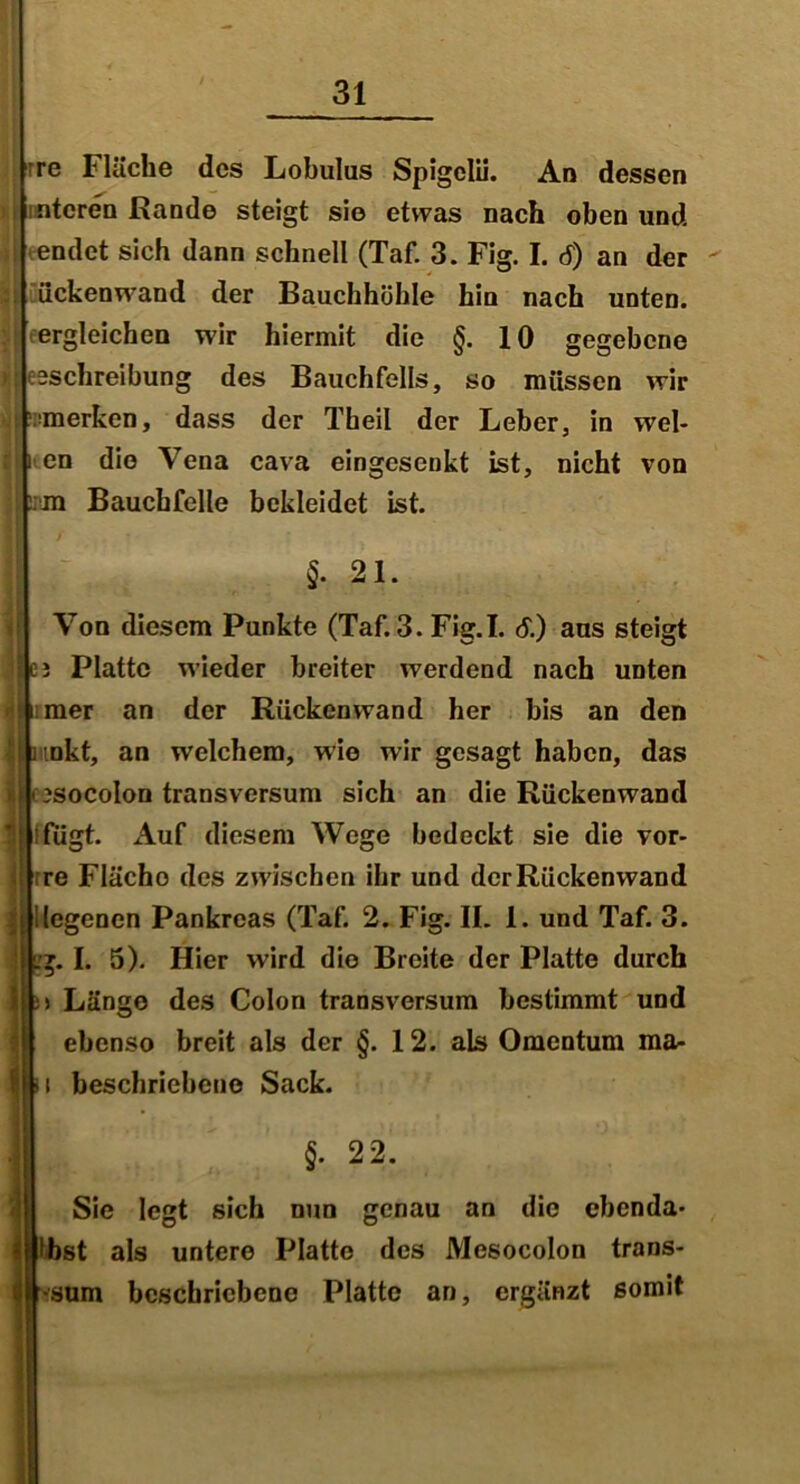 ■ re Flüche des Lobulus Spigclii. An dessen intcren Rande steigt sie etwas nach oben und • tendet sich dann schnell (Taf. 3. Fig. I. <5) an der  ückenwand der Bauchhöhle hin nach unten, jeergleichen wir hiermit die §. 10 gegebene j esschreibung des Bauchfells, so müssen wir merken, dass der Theil der Leber, in wel- i iten die Vena cava eingesenkt ist, nicht von :m Bauchfelle bekleidet ist. f 1§. 21. Von diesem Punkte (Taf. 3. Fig.I. 6) ans steigt i Platte wieder breiter werdend nach unten mer an der Rücken wand her bis an den mkt, an welchem, wie wir gesagt haben, das ^socolon transversum sich an die Rückenwand j ifügt. Auf diesem Wege bedeckt sie die vor- ;re Fläche des zwischen ihr und dcrRiickenwand i ilegenen Pankreas (Taf. 2. Fig. II. 1. und Taf. 3. ,g. I. 5). Hier wird die Breite der Platte durch !> Länge des Colon transversum bestimmt und ebenso breit als der §. 12. als Omentum ma- i i beschriebene Sack. §. 22. Sie legt sich nun genau an die ebenda- Ibst als untere Platte des Mesocolon trans- i -sum beschriebene Platte an, ergänzt somit