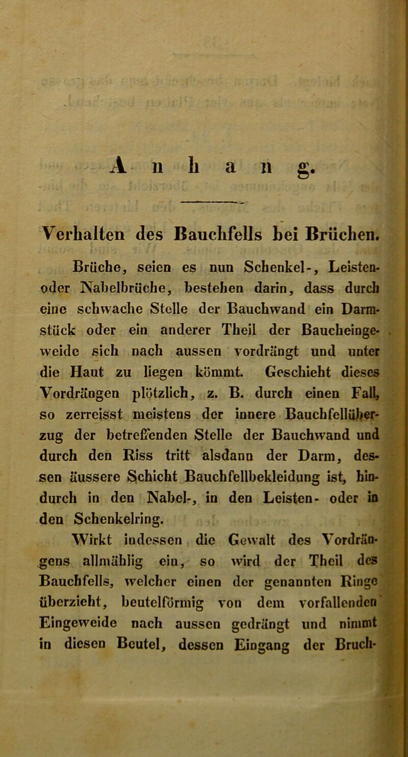 A n li a n g. Verhalten des Bauchfells bei Brüchen. Brüche, seien es nun Schenkel-, Leisten- oder Nabelbrüche, bestehen darin, dass durch eine schwache Stelle der Bauchwand ein Darm- stück oder ein anderer Theil der Baucheinge- weidc sich nach aussen vordrängt und unter die Haut zu liegen kömmt. Geschieht dieses Vordrängen plötzlich, z. B. durch einen Fall, so zerreisst meistens der innere Bauchfellüber- zug der betreffenden Stelle der Bauchwand und durch den Riss tritt alsdann der Darm, des- sen äussere Schicht Bauchfellbekleidung ist, hin- durch in den Nabel-, in den Leisten- oder in den Schenkelring. Wirkt indessen die Gewalt des Vordrän- gens allmählig ein, so wird der Theil des Bauchfells, welcher einen der genannten Ringe überzieht, beutelförmig von dem vorfallcndcn' Eingeweide nach aussen gedrängt und nimmt in diesen Beutel, dessen Eingang der Bruch-