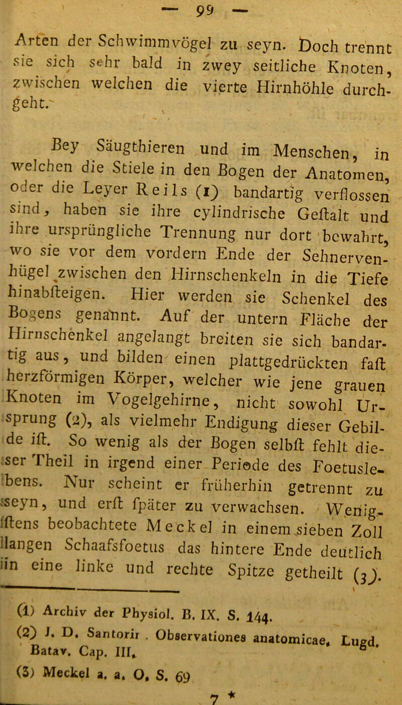 Arten der Schwimmvögel zu seyn. Doch trennt sie sich sehr bald in zwey seitliche Knoten, zwischen welchen die vierte Hirnhöhle durch- geht. Bey Säugthieren und im Menschen, in welchen die Stiele in den Bogen der Anatomen, oJer die Leyer Reils (i) bandartig verflossen sind, haben sie ihre cylindrische Geflalt und ihre ursprüngliche Trennung nur dort bewahrt, wo sie vor dem vordem Ende der Sehnerven- hügel ^zwischen den Hirnschenkeln in die Tiefe hinabfteigen. Hier werden sie Schenkel des Bogens genannt. Auf der untern Fläche der Hirnschenkel angeJangt breiten sie sich bandar- tig aus, und bilden einen plattgedrückten fall herzförmigen Körper, welcher wie jene grauen Knoten im Vogelgehirne, nicht sowohl Ur- sprung (2), als vielmehr Endigung dieser Gebil- de ift. So wenig als der Bogen selbft fehlt die- ser Theil in irgend einer Periode des Foetusie- bens. Nur scheint er früherhin getrennt zu fseyn, und erft fpäter zu verwachsen. Wenig- jftens beobachtete Meckel in einem .sieben Zoll Hangen Schaafsfoetus das hintere Ende deutlich iin eine linke und rechte Spitze getheilt (3^). ' 1 — \ (1) Archiv der Physiol. B. IX. S. 144. (2) J. D. Santorir . Observationes anatomicae, Lued Batav. Cap. III, 6 (3) Meckel a. a. O, S. 69 7