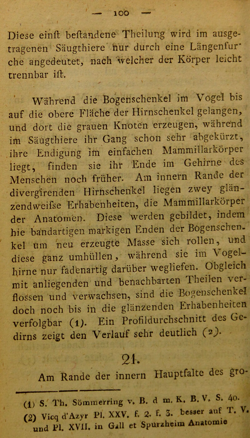I Diese einft beftandene Theilung wird im ausge- tragenen Säugthiere hur durch eine Längenfur* che angedeutet, nach welcher der Körper leicht trennbar ilR Während die Bogen'schenkel im Vogel bis auf die obere Fläche der Hirnschenkel gelangen, und dort die grauen Knoten erzeugen, während im Säugthiere ihr Gang schon sehr abgekürzt, ihre Endigung im einfachen Mammillarkörper liegt, finden sie ihr Ende im Gehirne des Menschen noch früher. Am innern Rande der divergirenden Hfrfischerikel liegen zwey gmn- zendweifse Erhabenheiten, die Mammillarkörper der Anatomen. Diese werden gebildet, indem hie bandartigen markigen Enden der Bögenschen- kel um neu erzeugte Masse sich rollen, und diese ganz umhüllen, während sie im Vogel- hirne nur fadenartig darüber wegliefen. Obgleich mit anliegenden und benachbarten Theilen ver- flossen und verwachsen, sind die Bogenschenkel doch noch bis in die glänzenden Erhabenheiten verfolgbar (l). Ein Profildurchschnitt des Ge- dirns zeigt den Verlauf sehr deutlich (v)- 21. Am Rande der innern Hauptfalte des gro- (1) S. Th. Sümmerring v. B. d m. K. B. V, S. 4o. (2) Vicq d’Azyr PI. XXV. f. 2. t 3. bc^er auf T. V, und PI. XVII. in Gail et Spiirzheun Anatomie