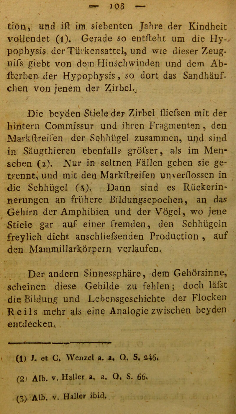 tion, und ift im siebenten Jahre der Kindheit vollendet (l). Gerade so entliehe um die Hy- pophysis der Türkensattel, und wie dieser Zeug- nifs giebt von dem Hinschwinden und dem Ab- fterben der Hypopbysrs, so dort das Sandhäuf- chen von jenem der Zirbel,, \ Die beyden Stiele der Zirbel fliefsen mit der hintern Commissur und ihren Fragmenten, den Markltreifen der Sehhügel zusammen, und sind in Säugthieren ebenfalls gröfser, als im Men- schen (2). Nur in seltnen Fällen gehen sie ge- trennt, und mit den Markflreifen unverflossen in die Sehhügel (3). Dann sind es Rückerin- nerungen an frühere Bildungsepochen, an das Gehirn der Amphibien und der Vögel, wo jene Ir Stiele gar auf einer fremden, den Sehhügeln freylich dicht anschliefsenden Production , auf den Mammillarkörpern verlaufen. Der andern Sinnessphäre, dem Gehörsinne, scheinen diese Gebilde zu fehlen; doch läfst die Bildung und Lebensgeschichte der Flocken Reils mehr als eine Analogie zwischen beyden entdecken, >, r . 1 1 ~i (1) J« et C, Wenzel a. a« O. S, 246» (2) Alb. v. Haller a, a. Q* S. 66. (3) Alb. v. Haller ibid.