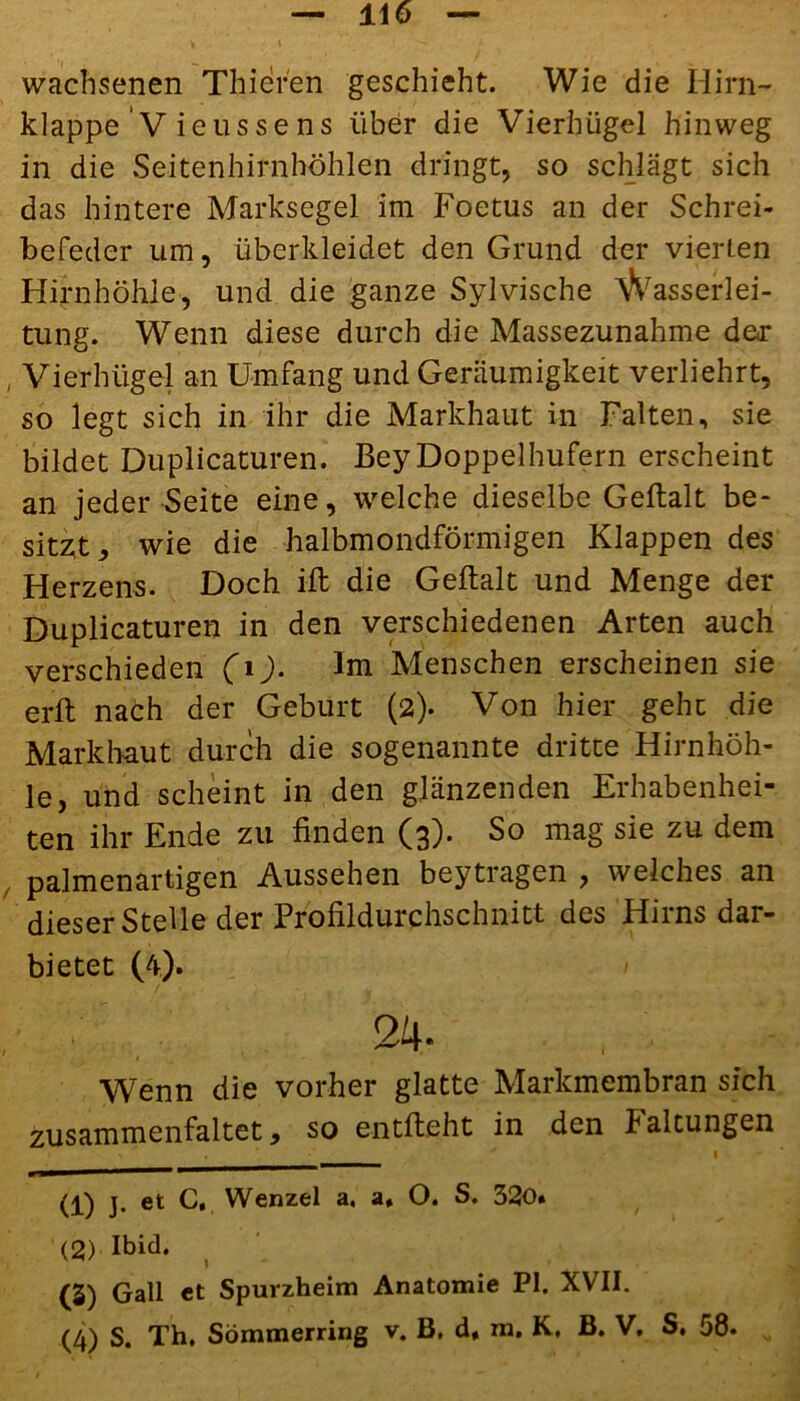 wachsenen Thieren geschieht. Wie die Hirn- klappe V ieusse ns über die Vierhügel hinweg in die Seitenhirnhöhlen dringt, so schlägt sich das hintere Marksegel im Foetus an der Schrei- befeder um, überkleidet den Grund der vierten Hirnhöhle, und die ganze Sylvische Wasserlei- tung. Wenn diese durch die Massezunahme der , Vierhügel an Umfang und Geräumigkeit verliehrt, so legt sich in ihr die Markhaut in Falten, sie bildet Duplicaturen. BeyDoppelhufern erscheint an jeder Seite eine, welche dieselbe Geftalt be- sitzt, wie die halbmondförmigen Klappen des Herzens. Doch ift die Geftalt und Menge der Duplicaturen in den verschiedenen Arten auch verschieden (i). Im Menschen erscheinen sie erft naöh der Geburt (2). Von hier gehe die Mark haut durch die sogenannte dritte Hirnhöh- le, und scheint in den glänzenden Erhabenhei- ten ihr Ende zu finden (3). So mag sie zu dem , palmenartigen Aussehen beytragen , welches an dieser Stelle der Profildurchschnitt des Hirns dar- bietet (4). / Wenn die vorher glatte Markmembran sich zusammenfaltet, so entlieht in den Paltungen (1) J. et U, Wenzel a, a, O. S. 320* (2) Ibid. (5) Gail et Spurzheim Anatomie PI. XVII.