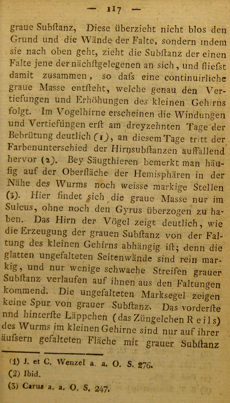 graue Subflanz, Diese überzieht nicht blos den Grund und die Wände der Falte, sondern indem sie nach oben geht, zieht die Subflanz der einen Falte jene der nächflgelegenen an- sich , und {liefst damit zusammen, so dafs eine co-ntinuirlichc graue Masse entlieht, welche genau den Ver- tiefungen und Erhöhungen des kleinen Gehirns folgt. Im Vogelhirne erscheinen die Windungen und Vertiefungen erfl am dreizehnten Tage der Bebrütung deutlich (Tan diesemTage tritt der Farbenunterschied der Hirnsubflanzen auffallend hervor (ij). Bey Säugthieren bemerkt man hau- fig auf der Oberfläche der Hemisphären in der Nähe des Wurms noch weisse markige Stellen (3). Hie 1 findet sich die graue Masse nur im Sulcus, ohne noch den Gyrus überzogen zu ha* ben. Das Hirn der Vögel zeigt deutlich, wie die Erzeugung der grauen Subflanz von der Fal- tung des kleinen Gehirns abhängig ifl; üenn die glatten ungefalteten Seitenwände sind rein mar- kig , und nur wenige schwache Streifen grauer Subflanz verlaufen auf ihnen aus den Faltungen kommend. Die ungefalteten Marksegel zeigen keine Spur, von grauer Subflanz. Das vorderfle und hincerfle Läppchen (das Züngelchen R ei 1 s) des Wurms im kleinen Gehirne sind nur auf ihrer aufsern gefalteten Fläche mit grauer Subflanz (1) J. et C. Wenzel a. a. O. S. gyg, (2) Ibid.