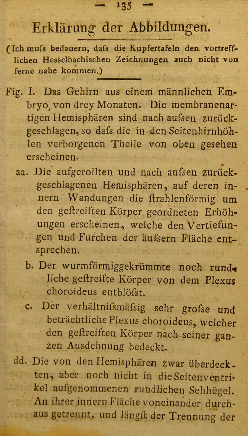 Erklärung der Abbildungen. (Ich mufs bedauern, dafs die Kupfertafeln den vortreff- lichen Hesselbachischen Zeichnungen auch nicht von ferne nahe kommen.) Fig. I. Das Gehirn aus einem männlichen Em- bryo, von drey Monaten. Die membranenar- tigen Hemisphären sind nach aufsen zurück- geschlagen, so dafs die in den Seitenhirnhöh- len verborgenen Theile von oben gesehen erscheinen. * « aa. Die aufgerollten und nach aufsen zurück- geschlagenen Hemisphären, auf deren In- nern Wandungen die ftrahlenförmig um den geftreiften Körper geordneten Erhöh- ungen erscheinen, welche den Vertiefun- gen und Furchen der äufsern Fläche ent- sprechen. b. Der wurmförmiggekrümmte noch rund* liehe geftreifte Körper von dem Plexus choroideus entblöfst. c» Der verhältnifsmäfsig sehr grofse und beträchtliche Plexus choroideus, welcher den geftreiften Körper nach seiner gan- zen Ausdehnung bedeckt. dd. Die von den Hemisphären zwar überdeck- ten, aber noch nicht in die Seiten Ventri- kel aufgenommenen rundlichen Sehhügel. An ihrer innern Fläche voneinander durch- aus getrennt, und Jängft der Trennung der